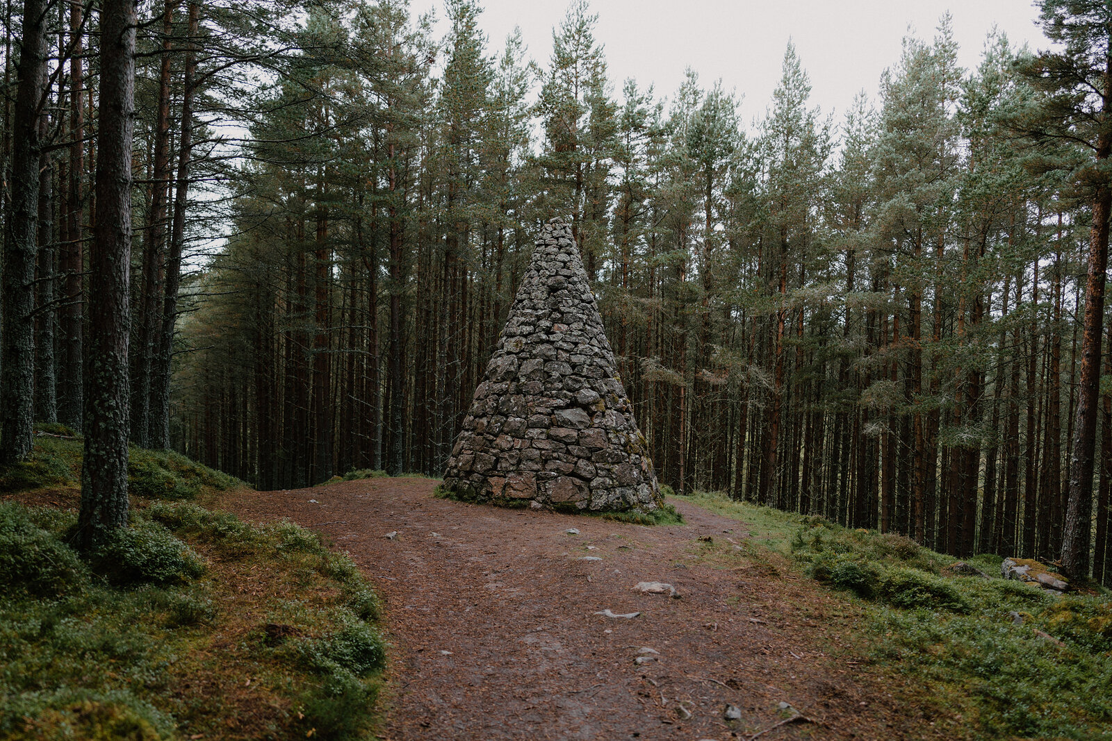 A cone of rough stones, one of the cairns, beside a broad earth path through tall Scots pines.