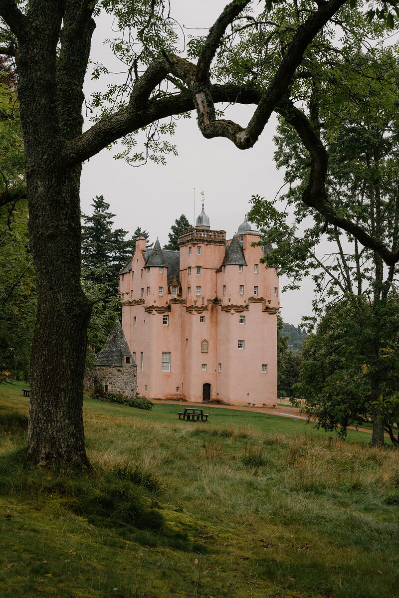 A pink turreted castle framed by overhanging oak branches, lawns spreading either side.