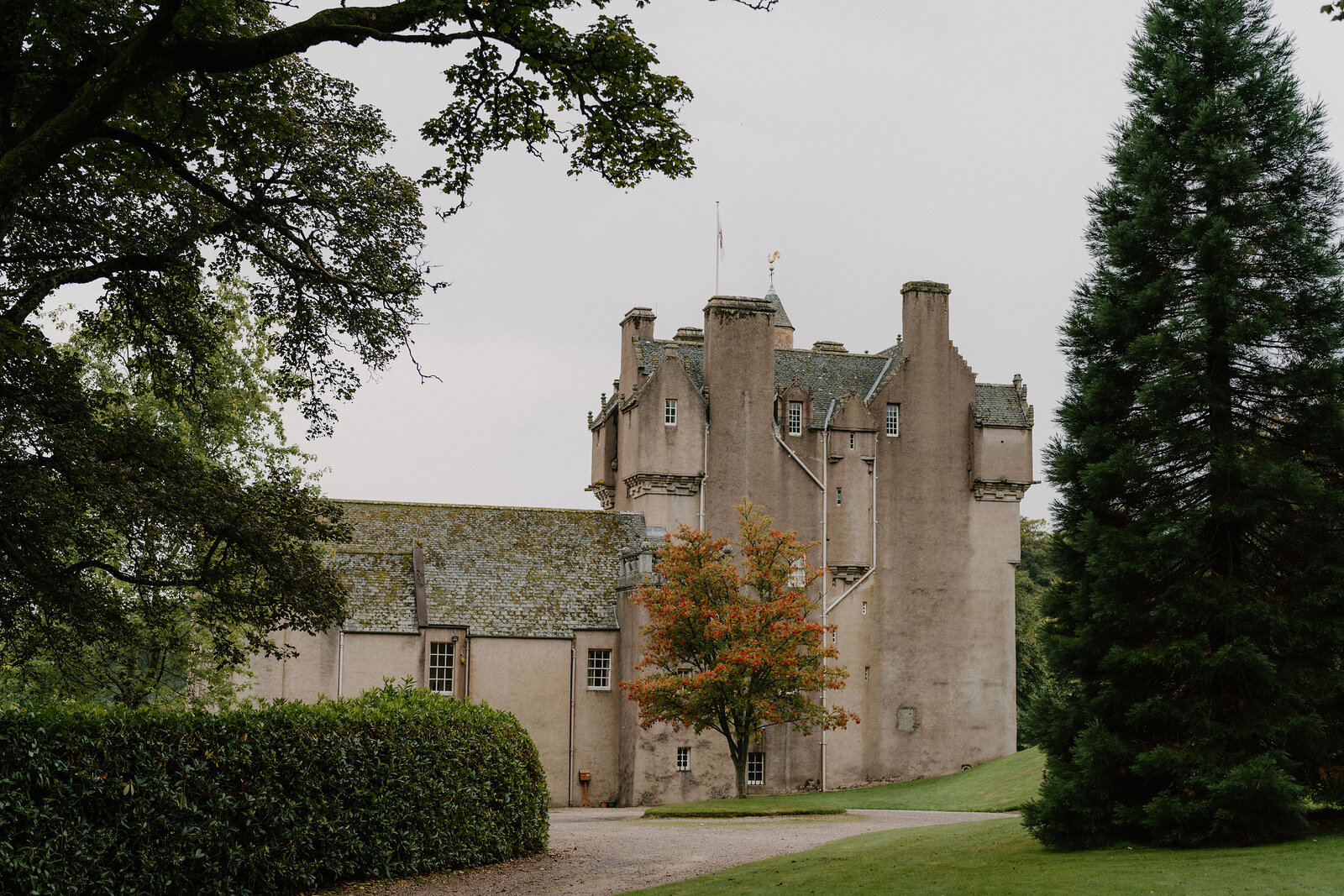 A stone castle with turrets standing behind a hedge, an autumn-coloured tree beside the entrance