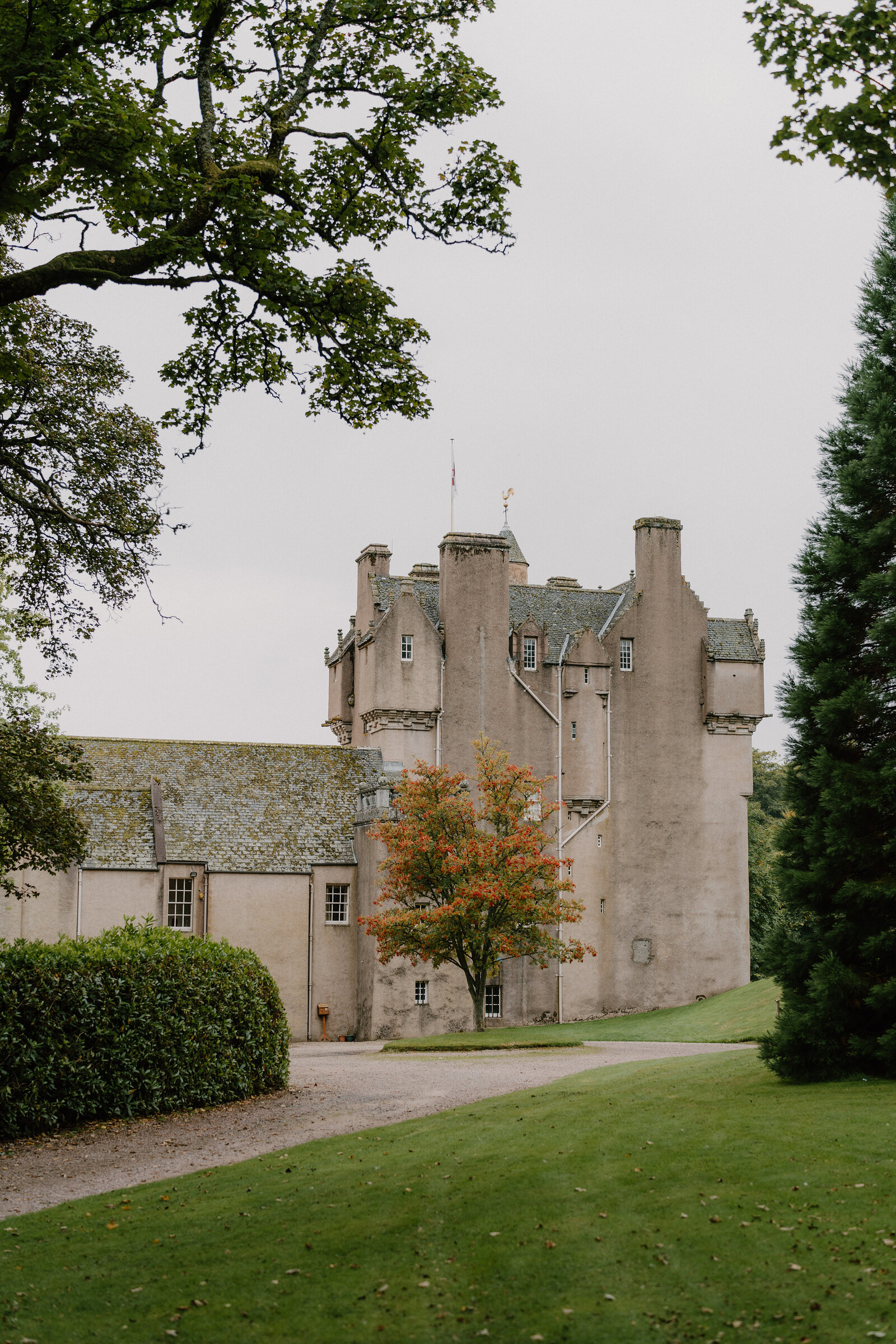 A stone castle with turrets seen past an autumn-coloured tree, a gravel drive leading to its entrance