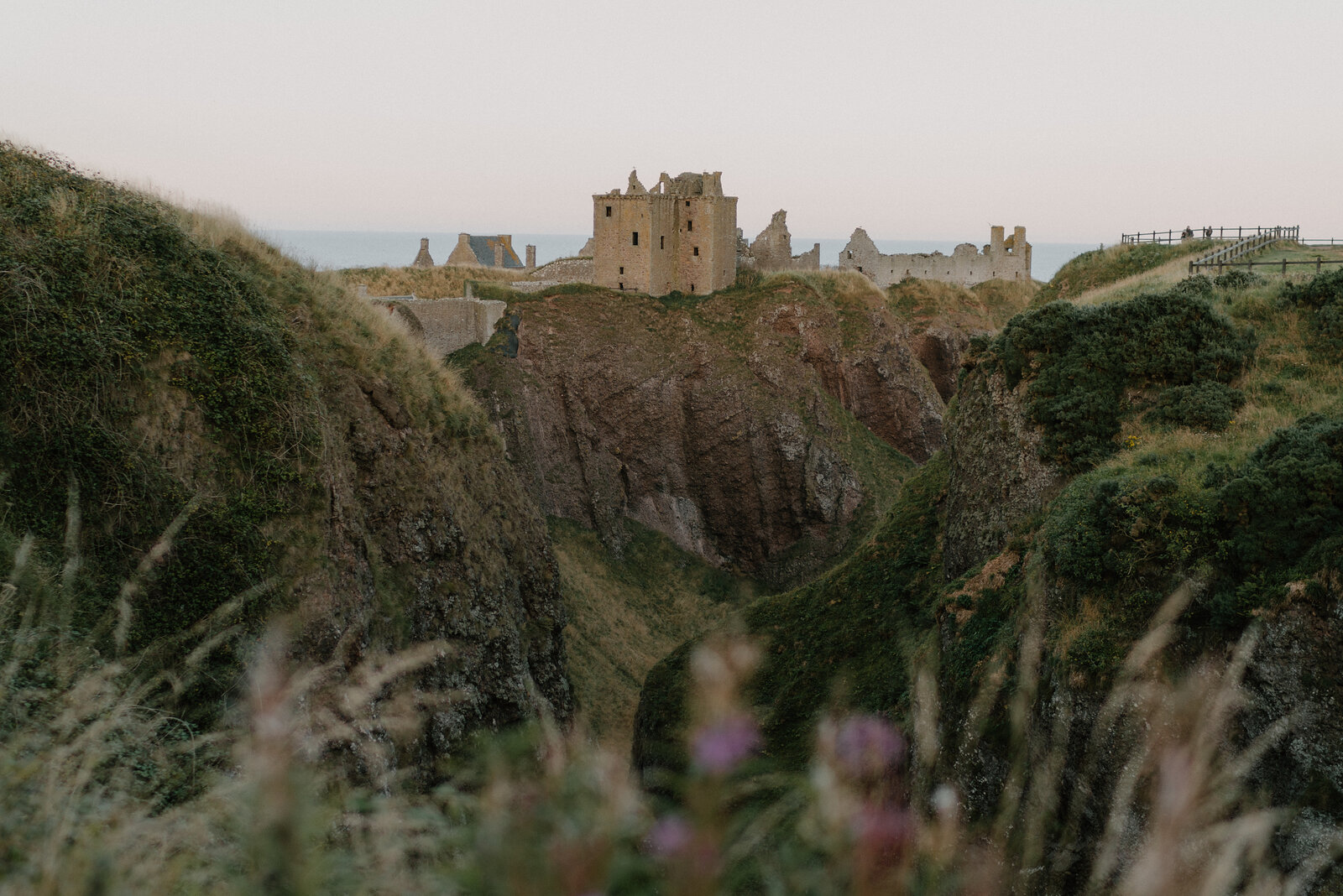 A ruined castle standing on a grassy headland surrounded by the sea, wildflowers framing the gorge in the foreground
