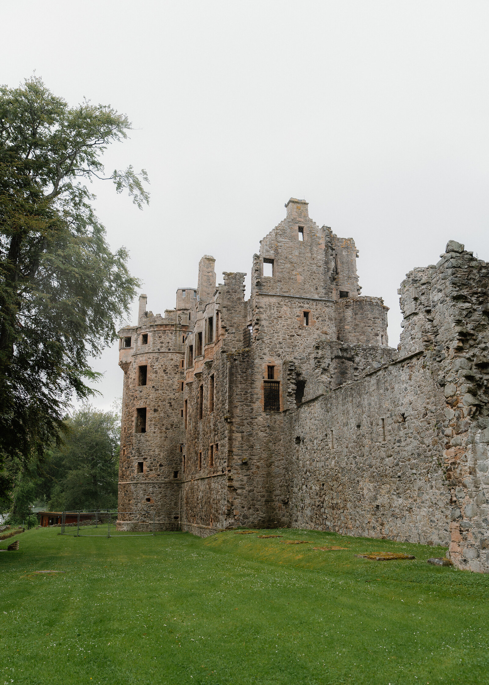 Huntly Castle's ruined walls rise beside a spreading tree, a lawn stretching in front