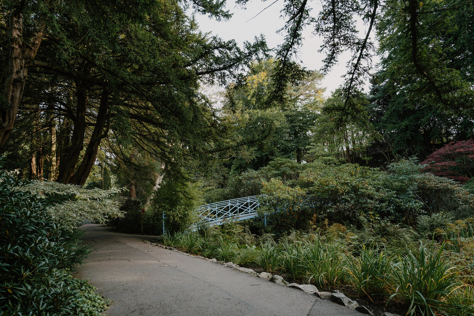 A white metal footbridge arches over a stream in a lush, tree-shaded garden.
