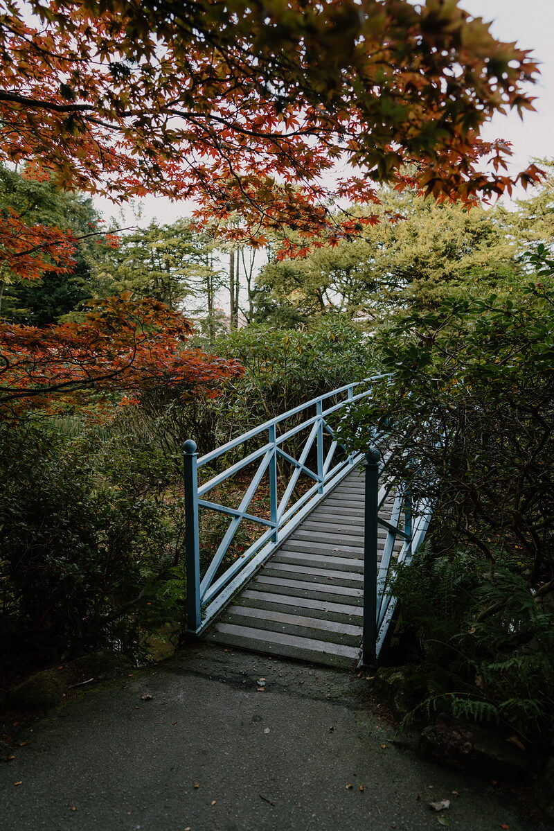 A pale blue metal footbridge crosses a path beneath red Japanese maple leaves.