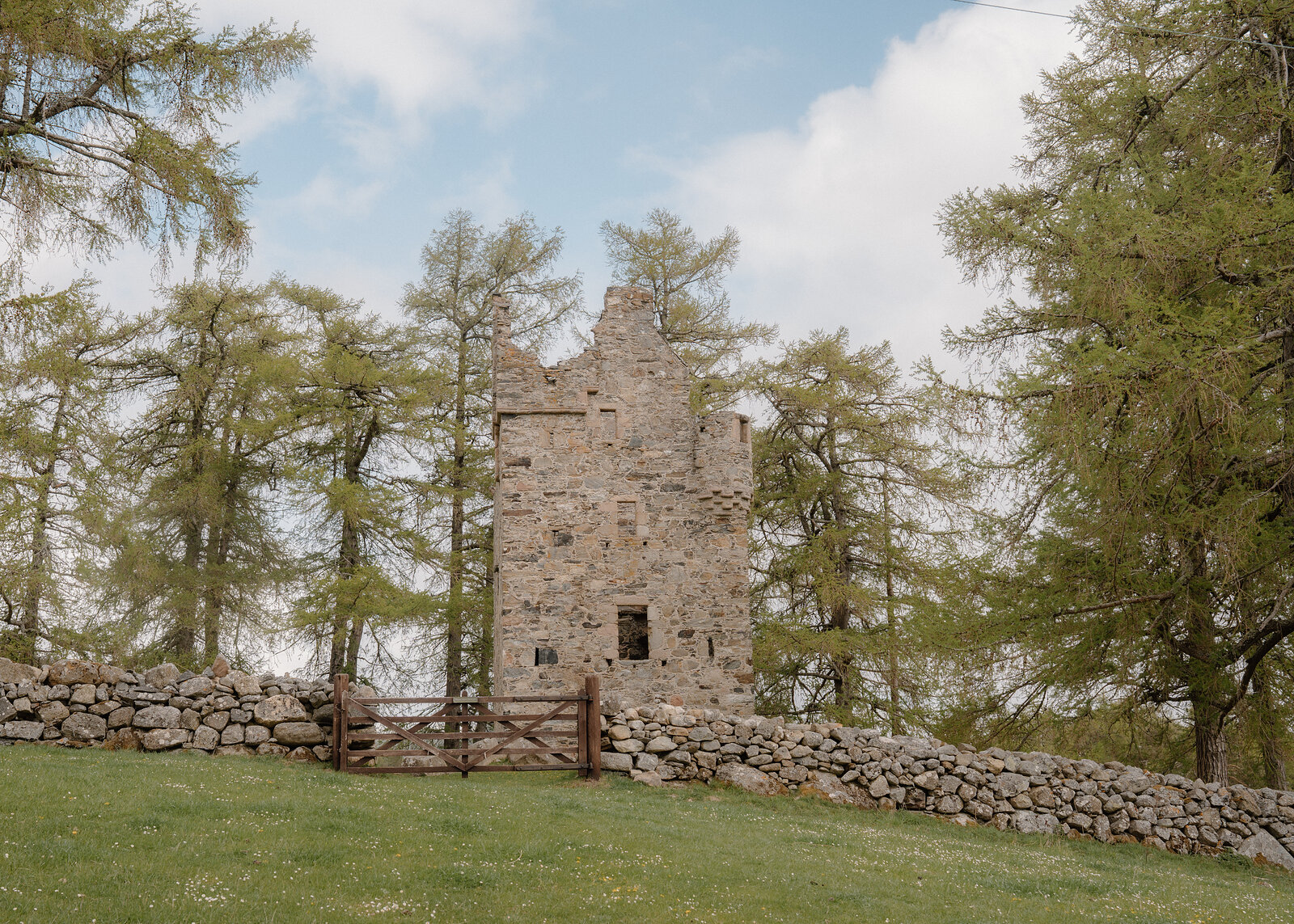 Knock Castle's ruined tower stands among trees behind a wooden gate and drystone wall
