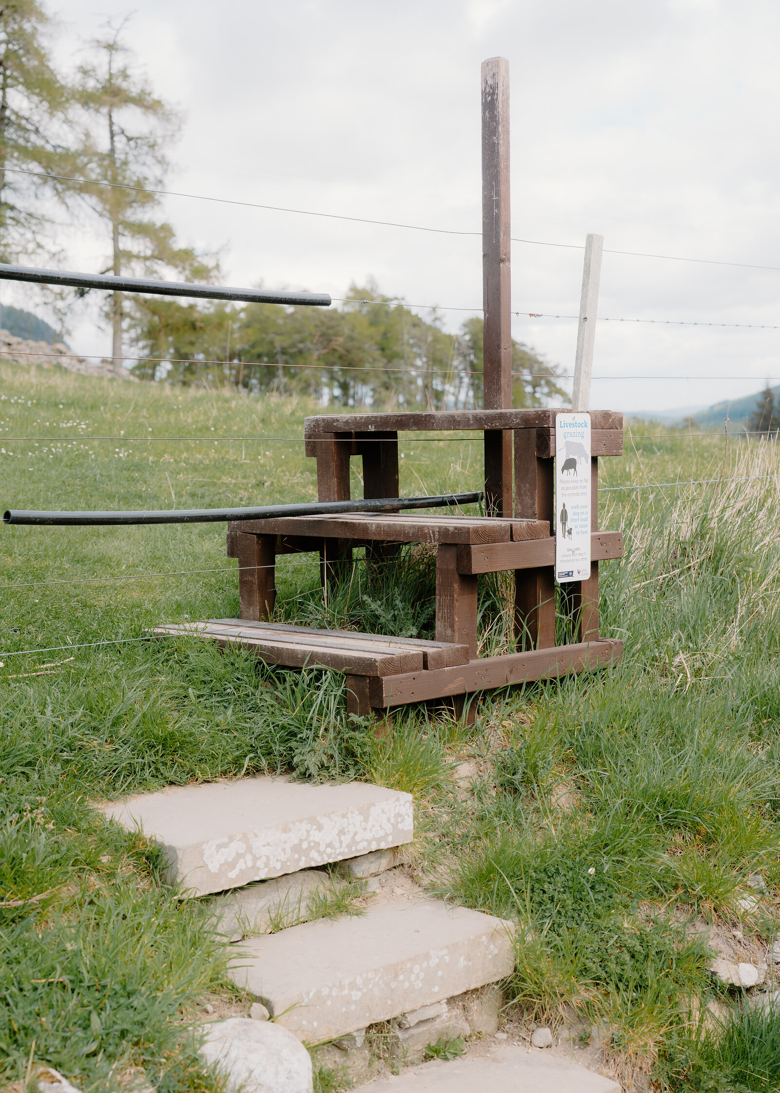 A wooden stile crossing a fence line in an open grazing field, stone steps leading up to it