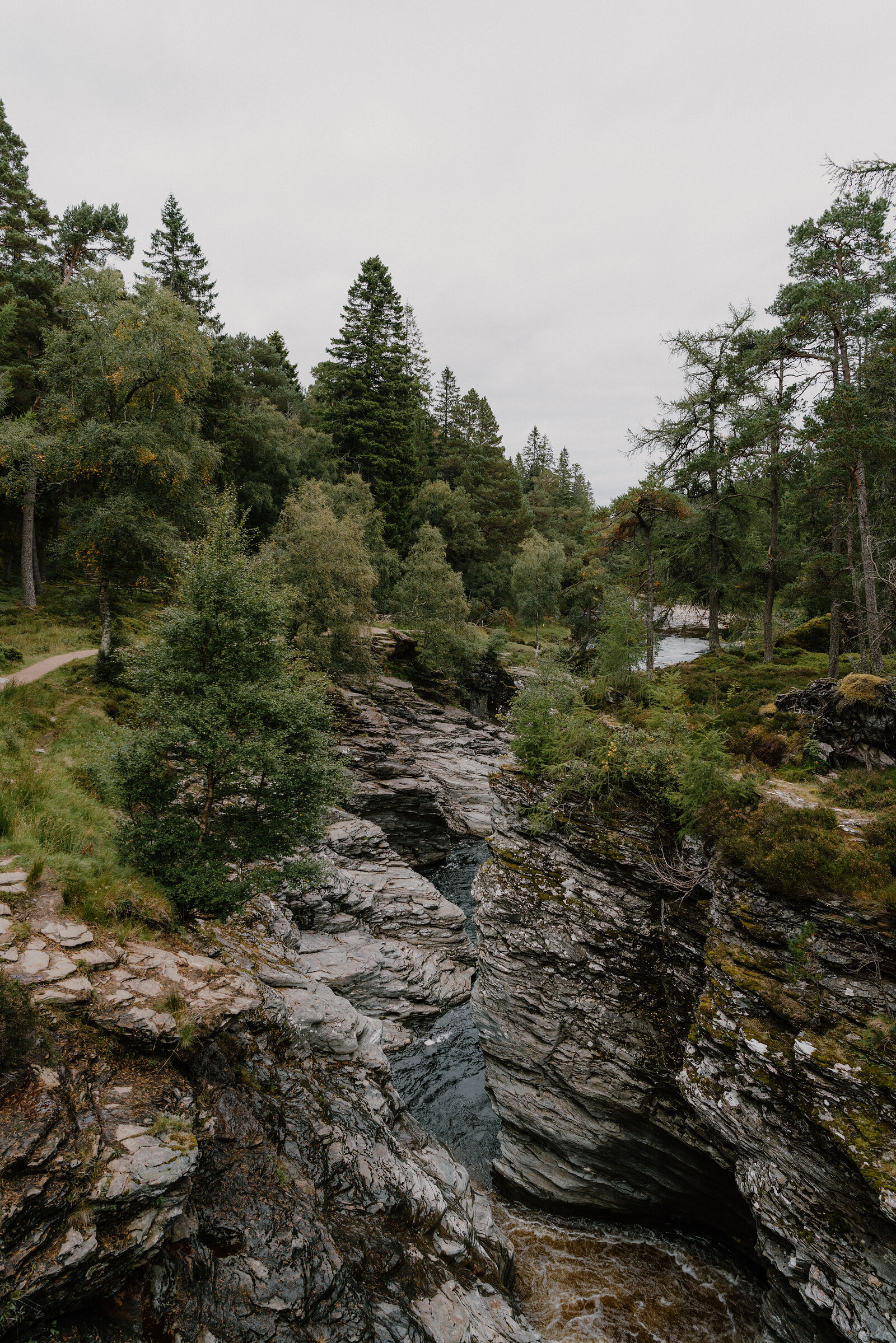 A rocky gorge cuts between pine-covered slopes beneath a grey sky.