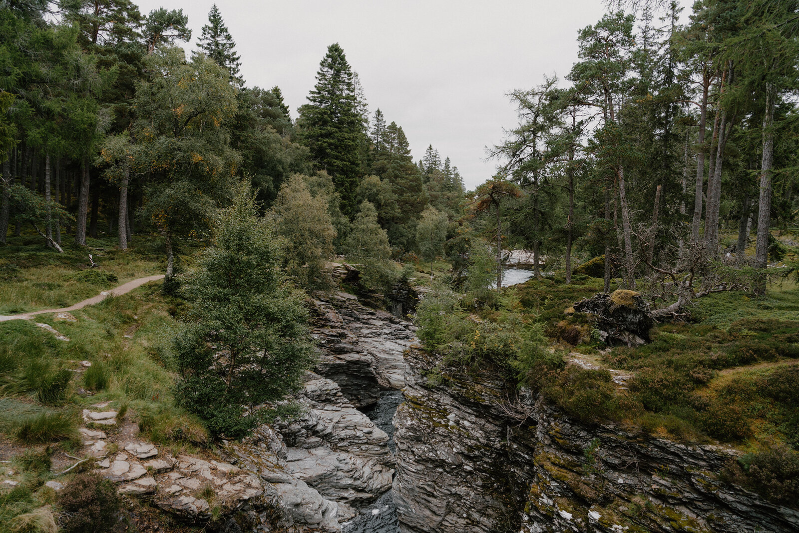 A figure walks a path above a rocky gorge cutting through pine-covered slopes.