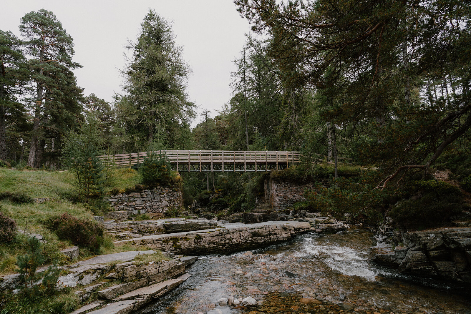 A wooden footbridge crosses a rocky river between pine-covered banks.