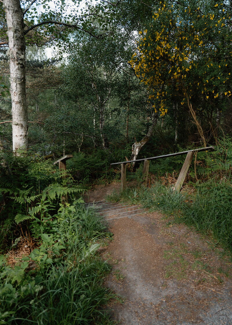 Loch Kinord and pizza at Kite in Dinnet