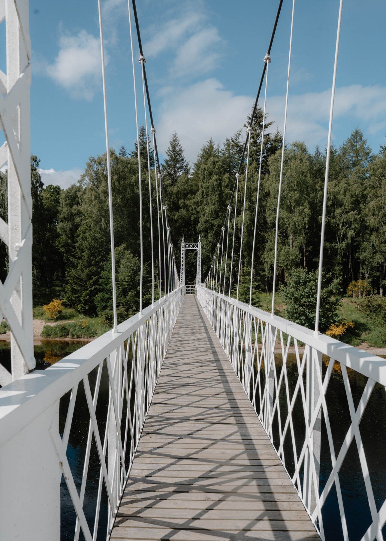A white suspension footbridge crossing a river bordered by conifers, cables rising to twin towers