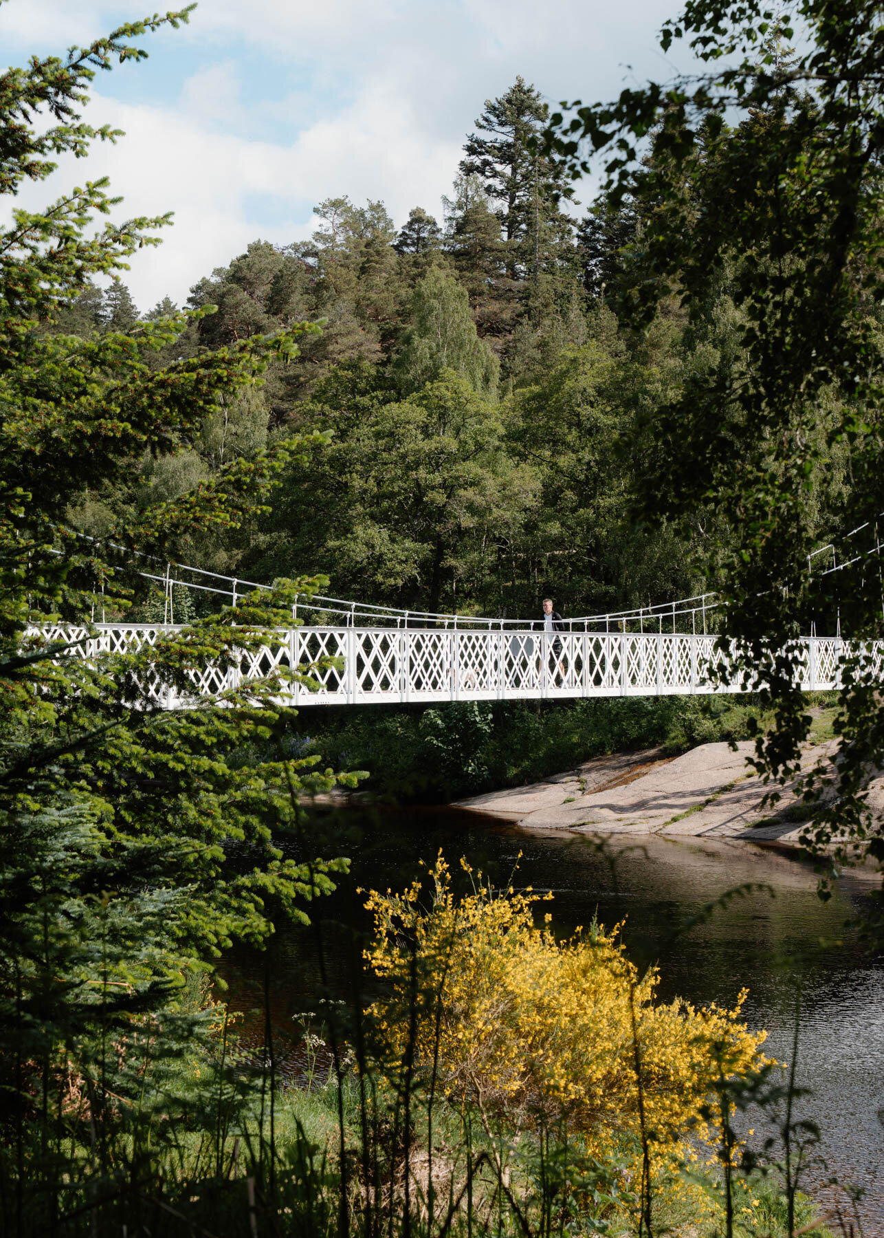A white suspension footbridge crossing a river, a figure crossing near its centre beside yellow broom