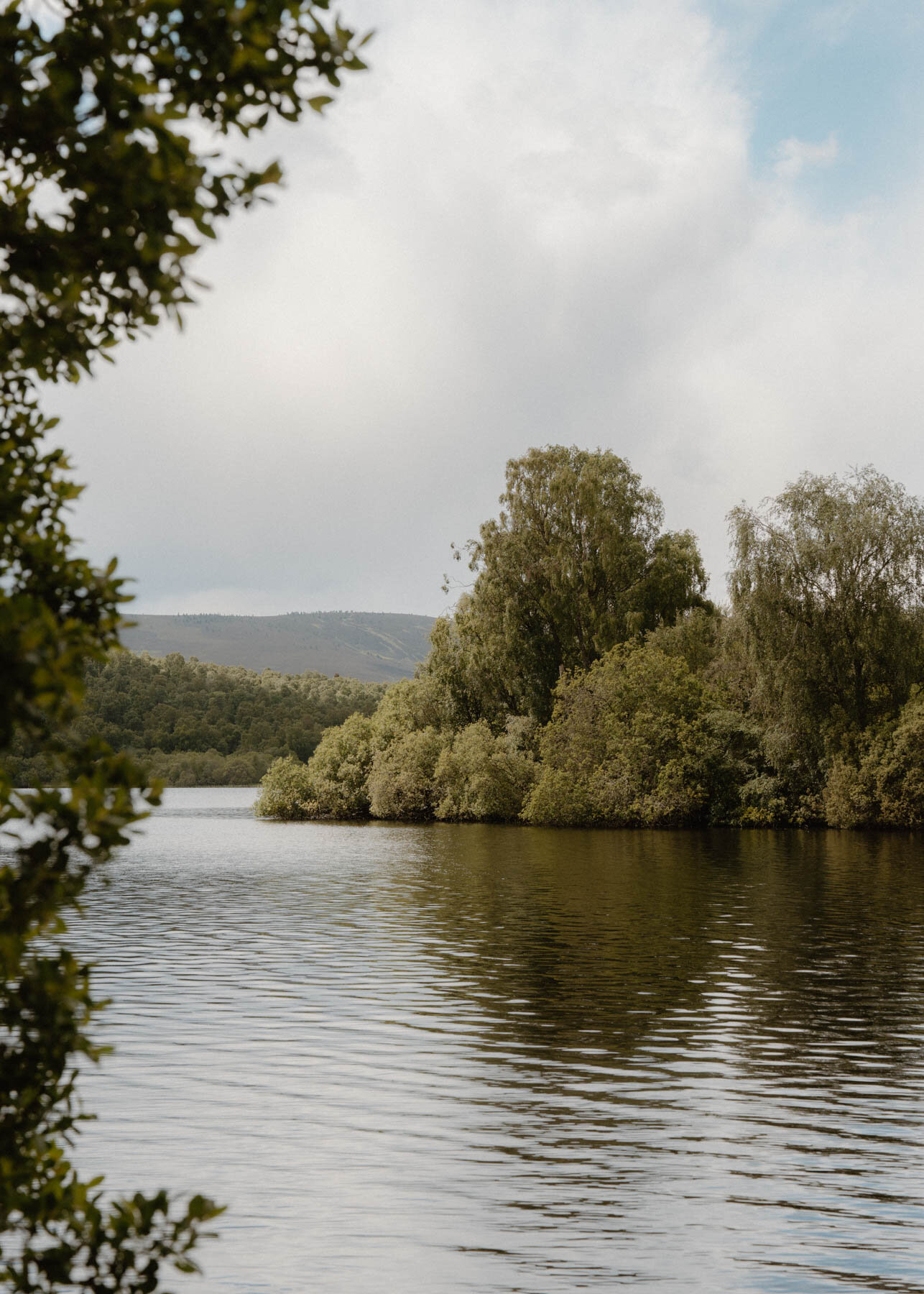 A small wooded island framed by birch branches, hills rising beyond the loch