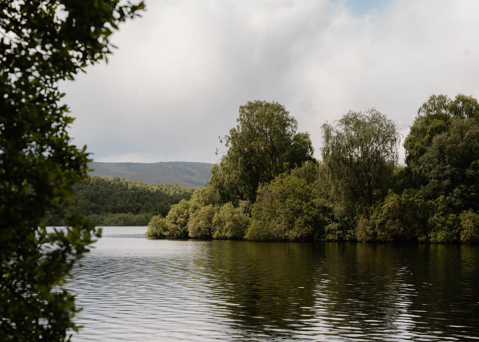 A small wooded island in the middle of a loch, hills rising beyond the trees