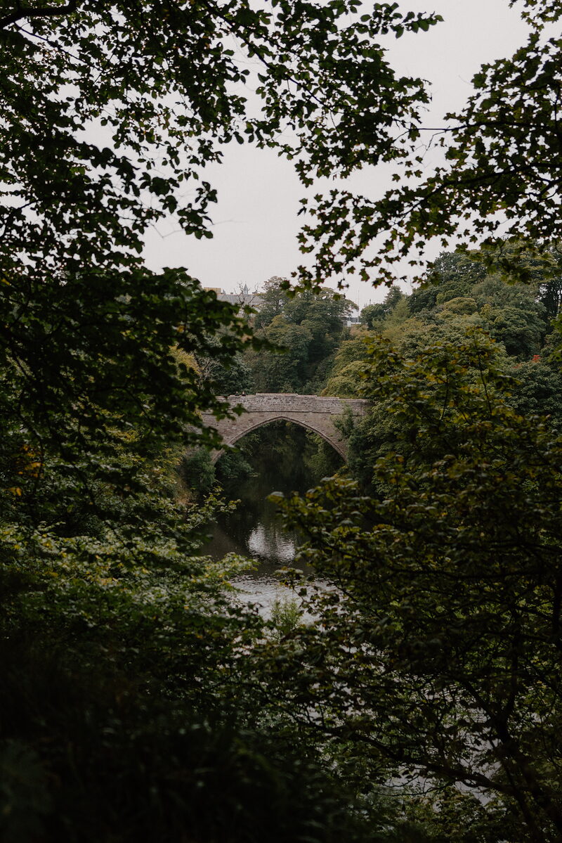 A stone humpback bridge glimpsed through overhanging trees above a still river.