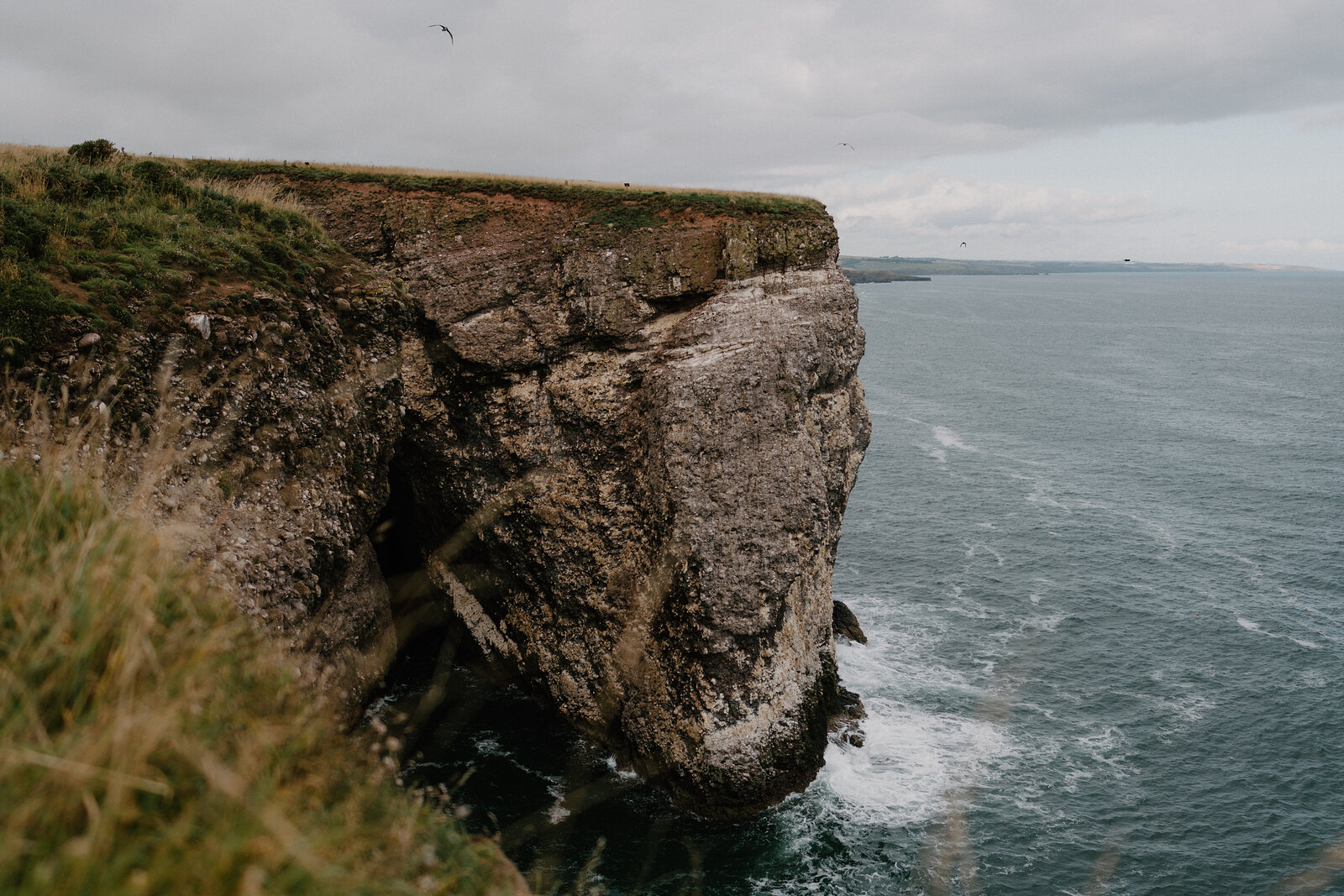 A layered sea cliff in Aberdeenshire, waves breaking below and seabirds circling above.