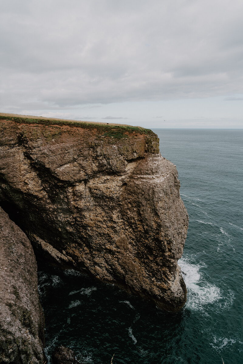 The Fowlsheugh cliff walk from Crawton
