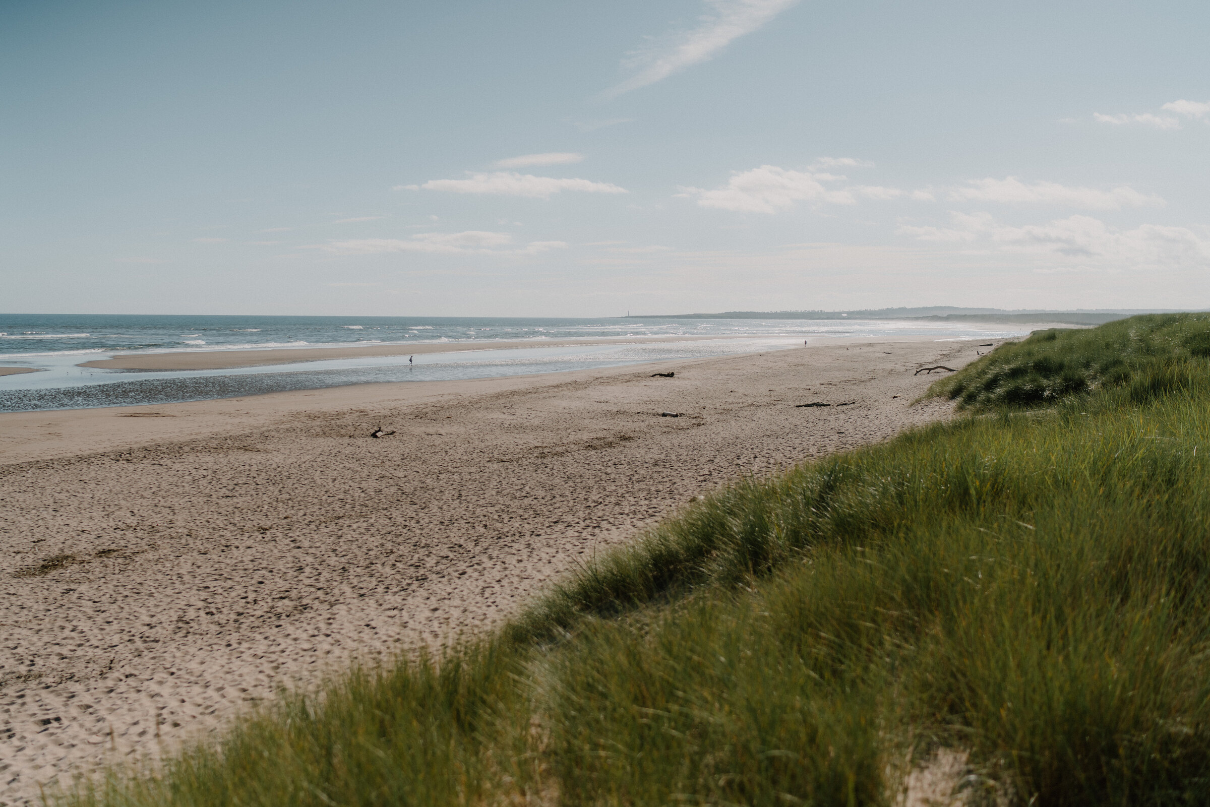St Cyrus beach and cliffs walk