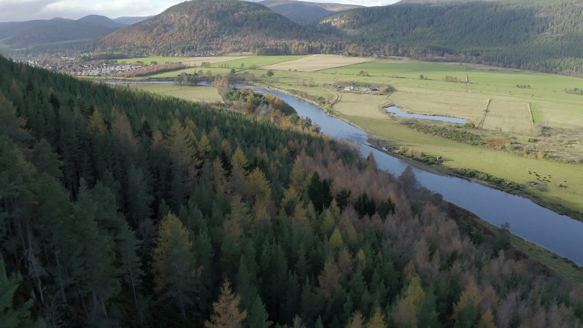 Over larches turning gold towards the River Dee winding through its fields at Ballater, the hills of Deeside beyond.