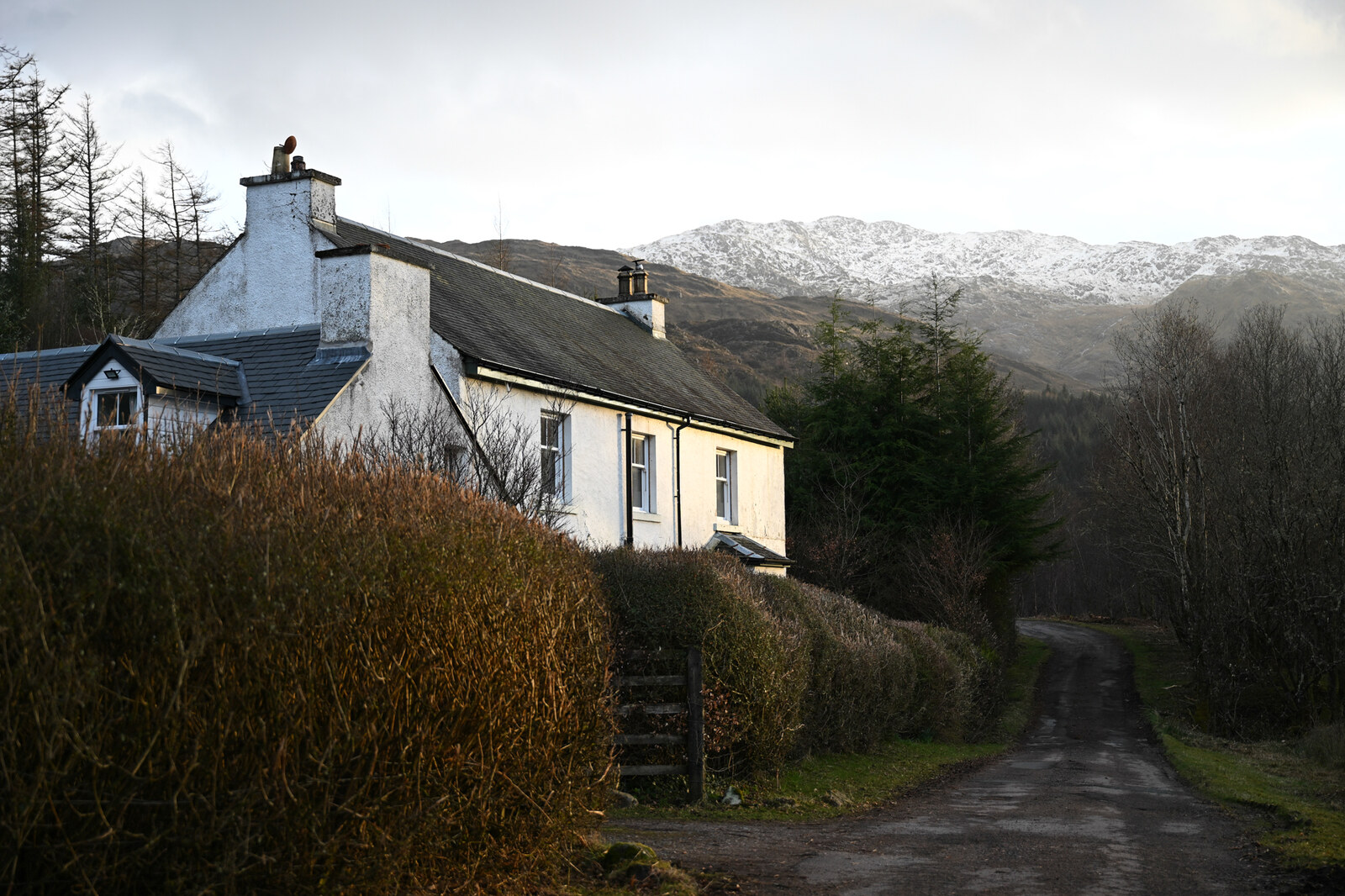 Glenhurich Lodge, white-harled with dormer windows, at the end of its track behind a beech hedge, snow on the hills beyond.