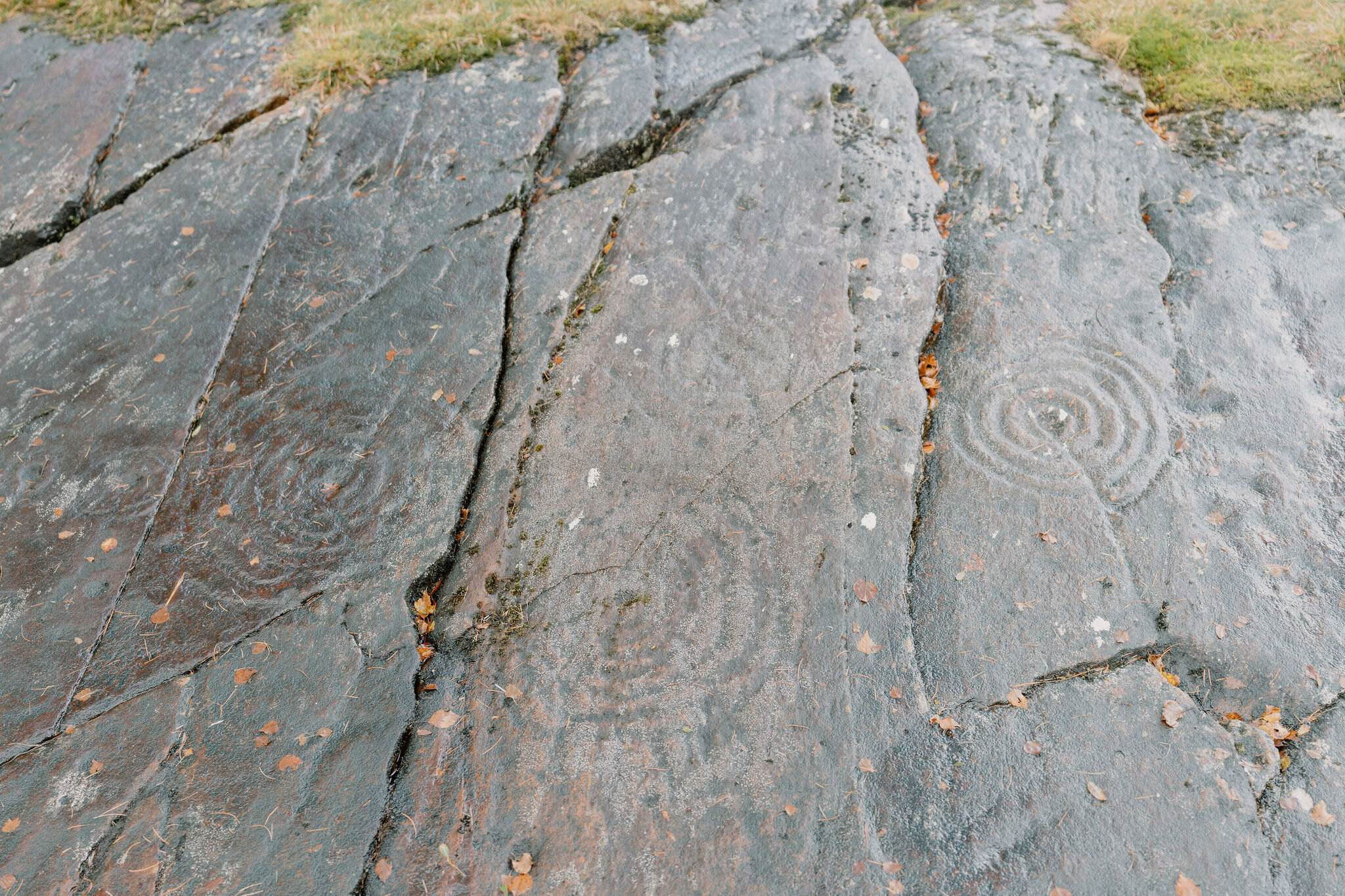 A walk to the cup and ring rocks at Achnabreck