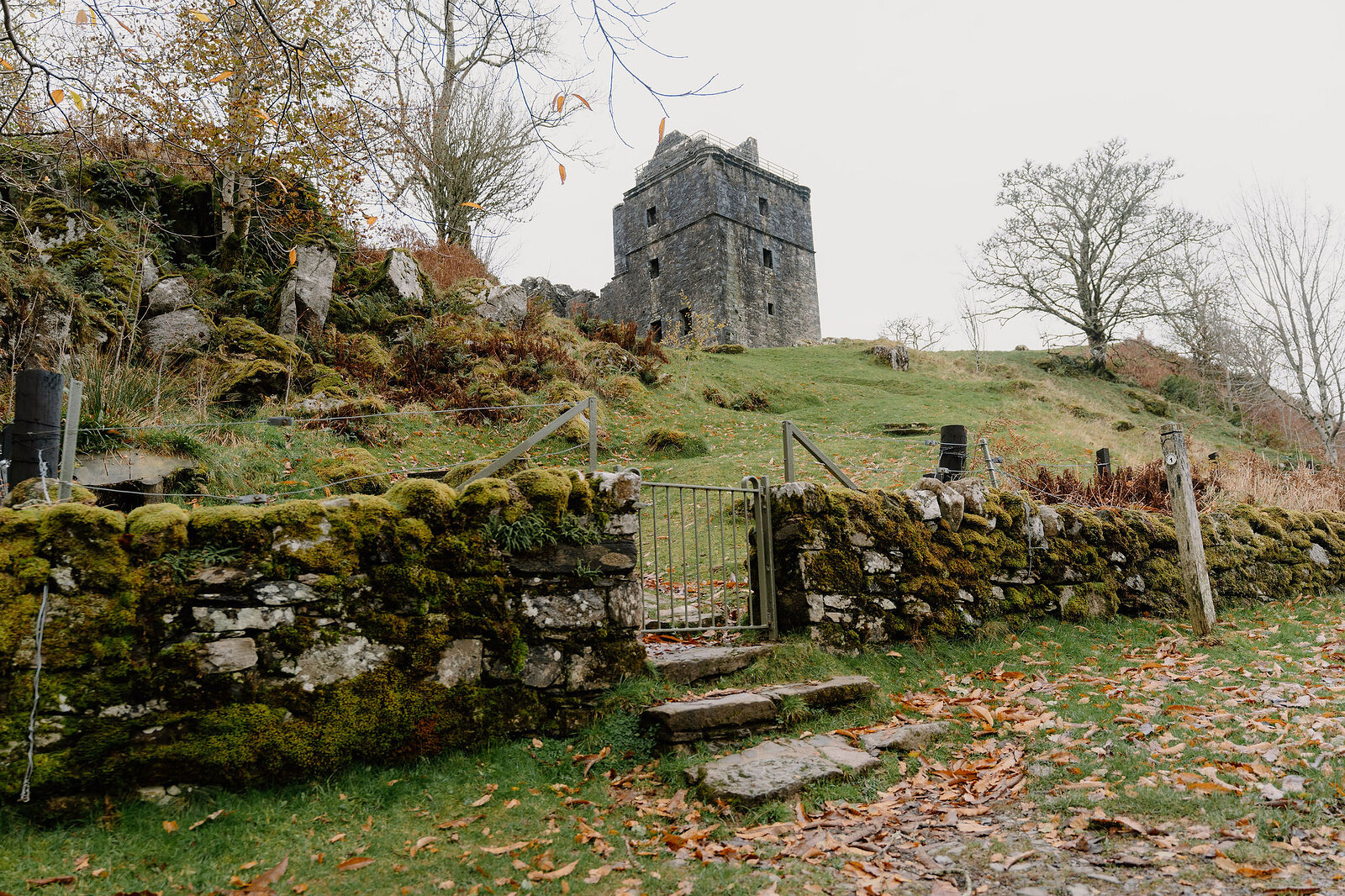 A ruined stone tower keep rising on a mossy hillside, a metal gate set into a low wall below