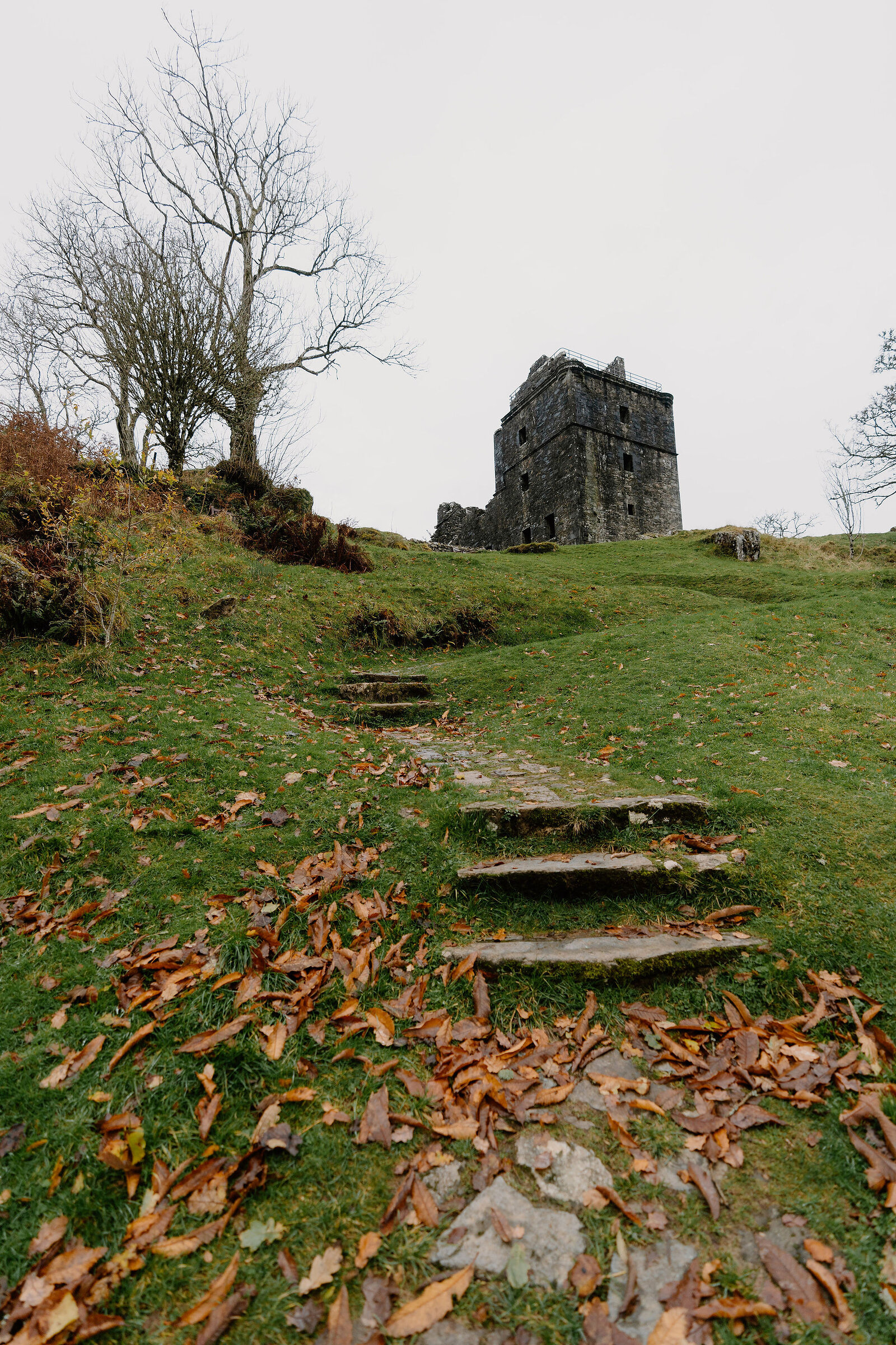 Stone steps climbing a grassy slope towards a ruined tower keep, autumn leaves scattered along the path