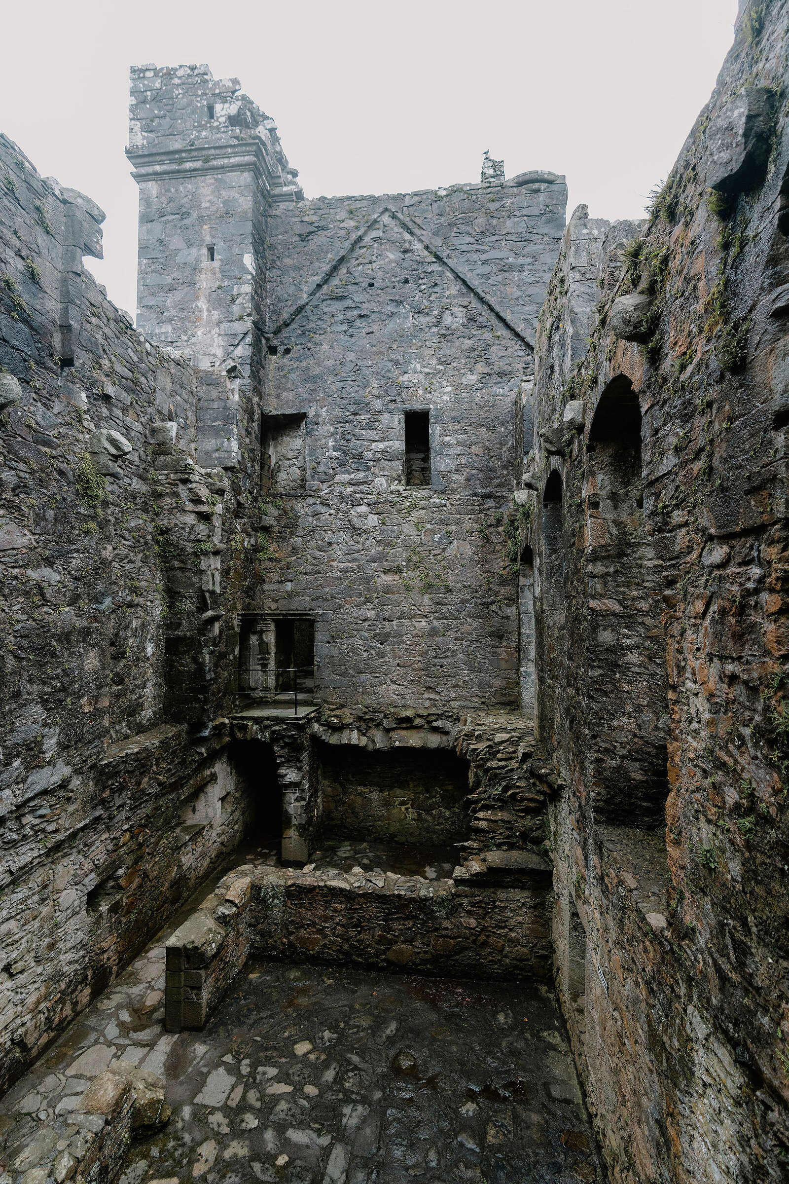 The roofless stone interior of a ruined castle, arched window openings and mossy walls rising on either side