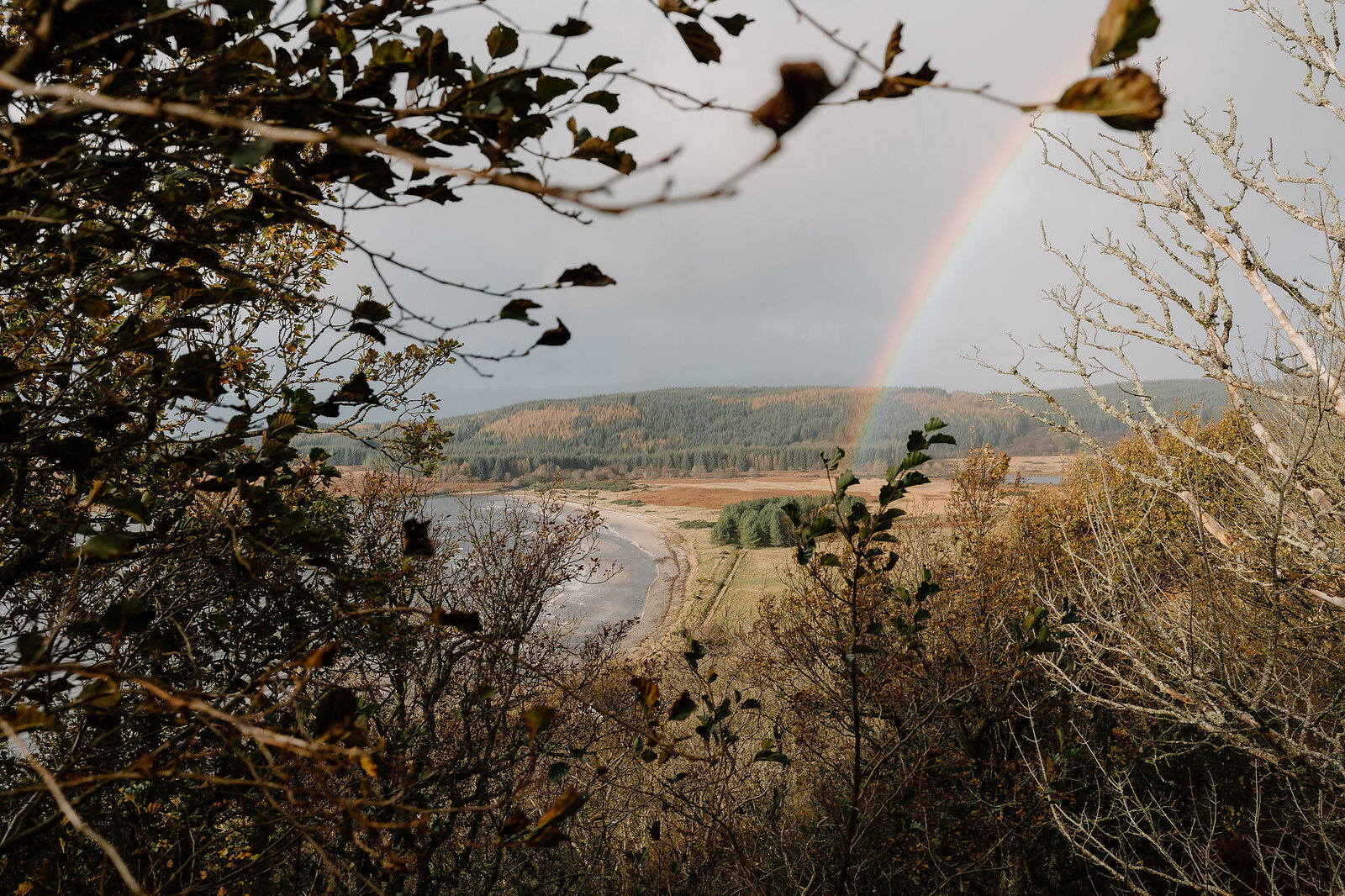 A faint rainbow arcing over a sandy estuary framed by autumn branches
