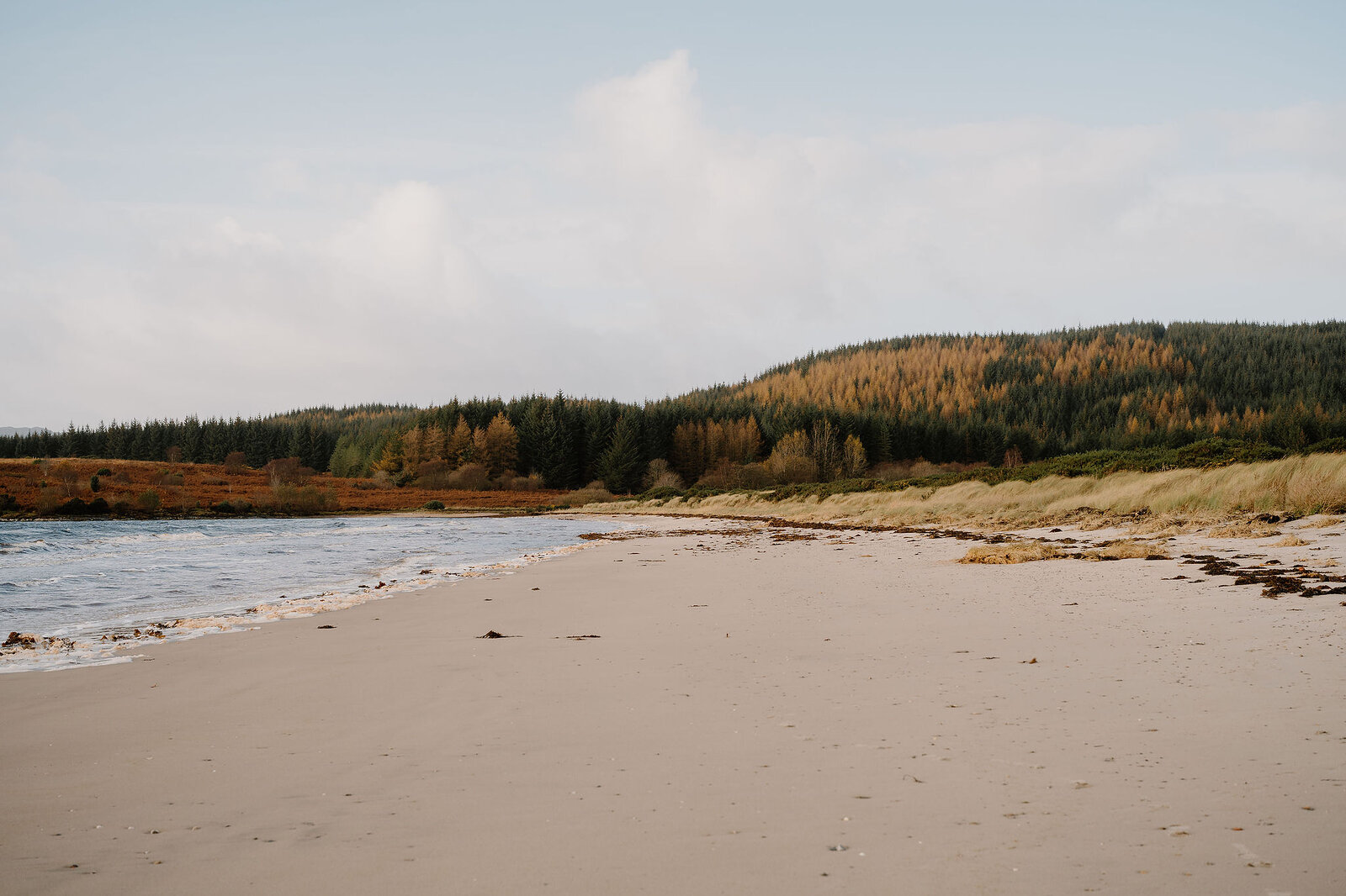A curving sandy beach edged by dune grass and a hillside of autumn-coloured trees