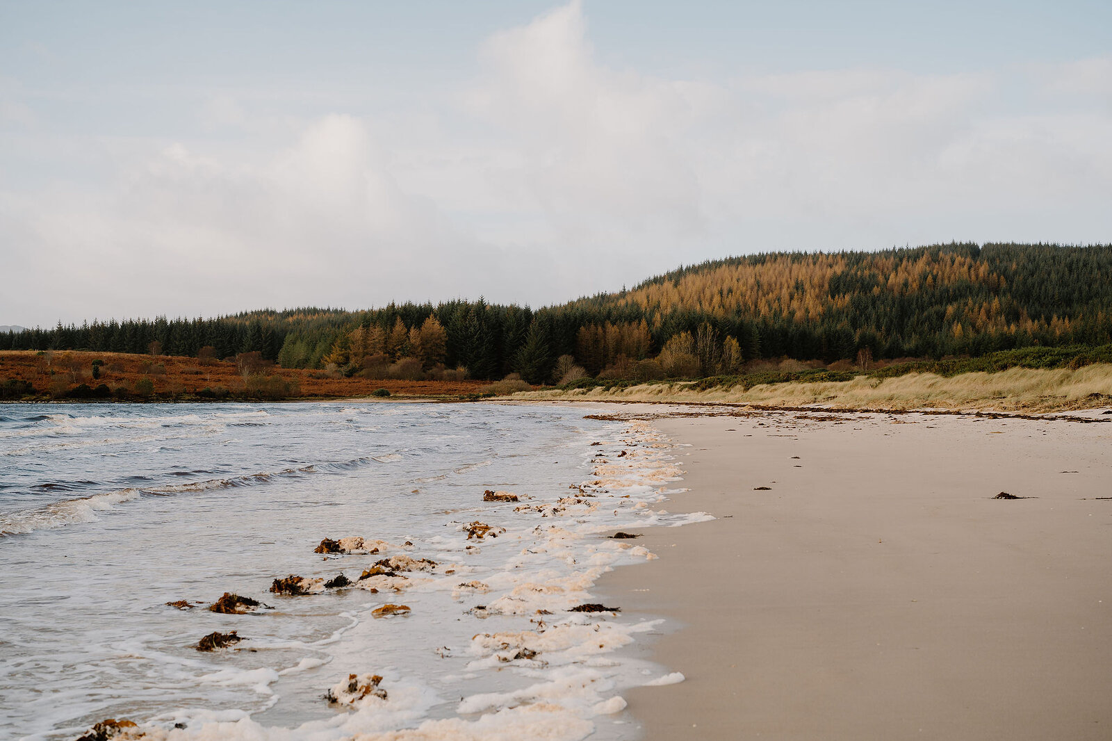 A sandy beach with waves washing seaweed onto the shore, backed by a hillside of autumn-coloured trees