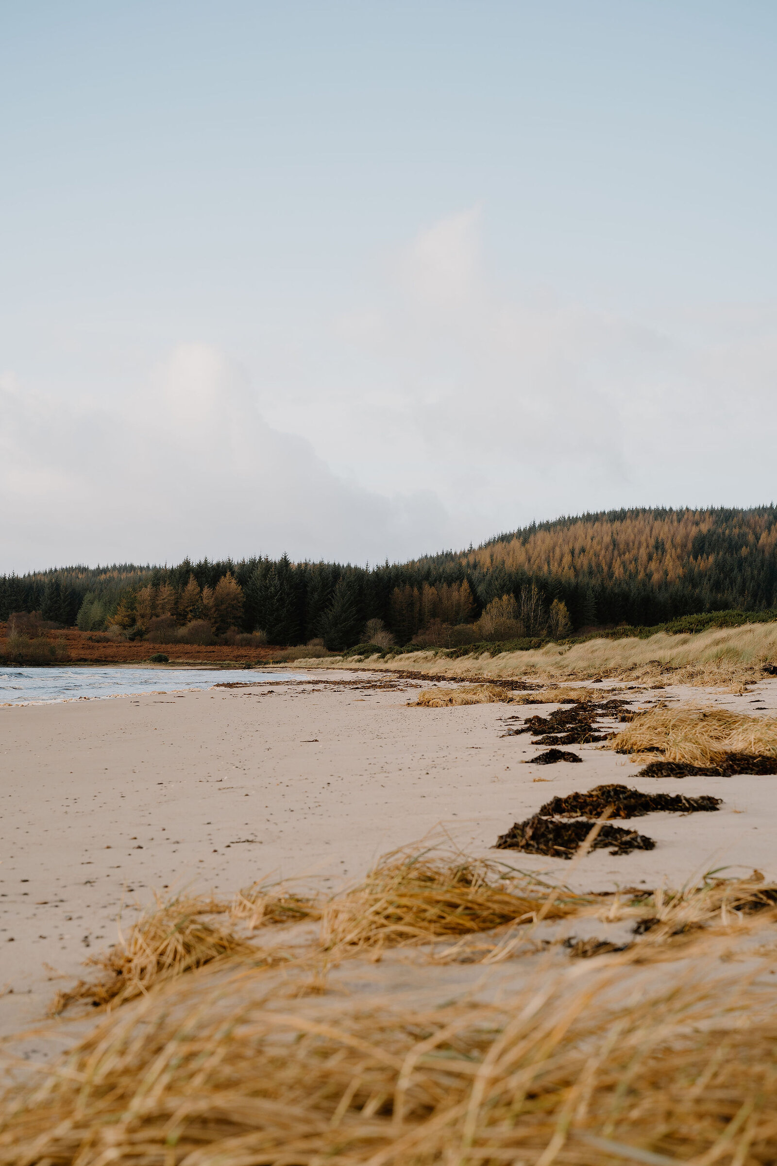 A sandy beach fringed with dune grass, backed by a hillside of pine and autumn-coloured trees