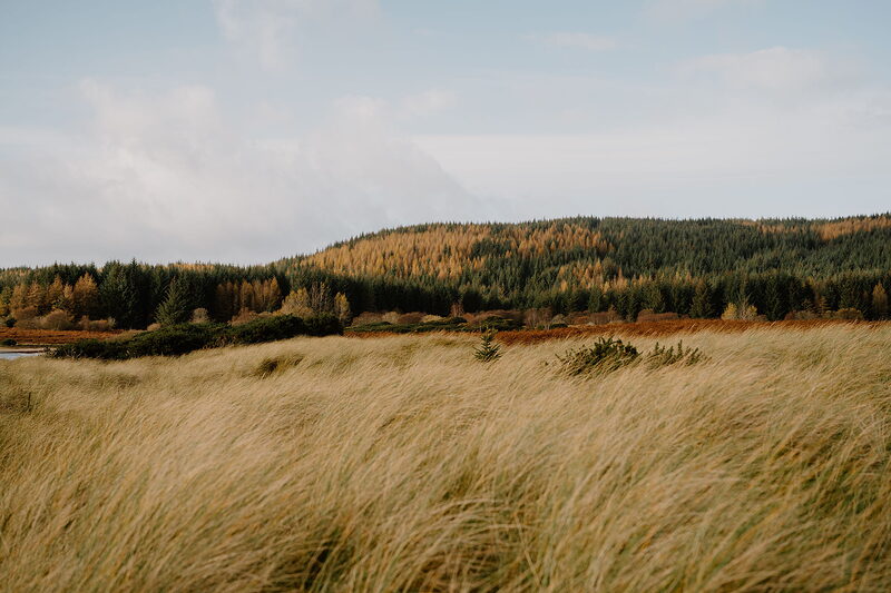A dune-grass hillside overlooking moorland, forested hills rising in the distance.