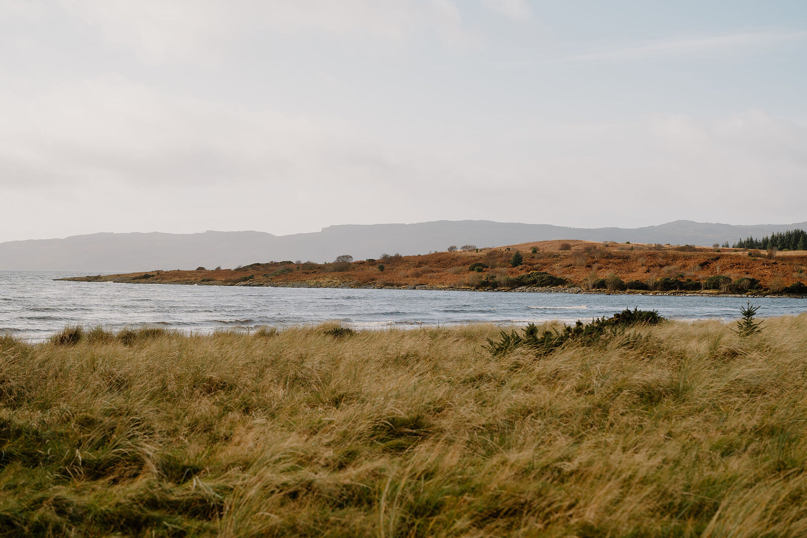 A dune-grass hillside overlooking a bay, hills patched with heather rising beyond