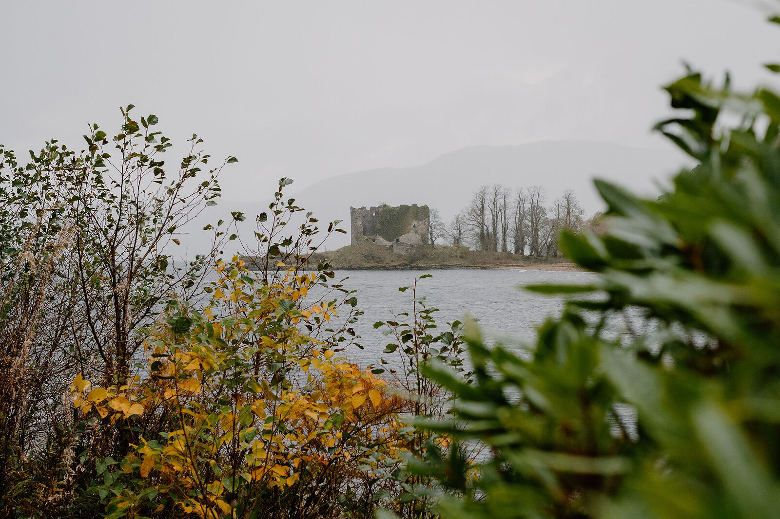 A ruined castle on an island seen across the loch, framed by autumn shrubs on the near bank