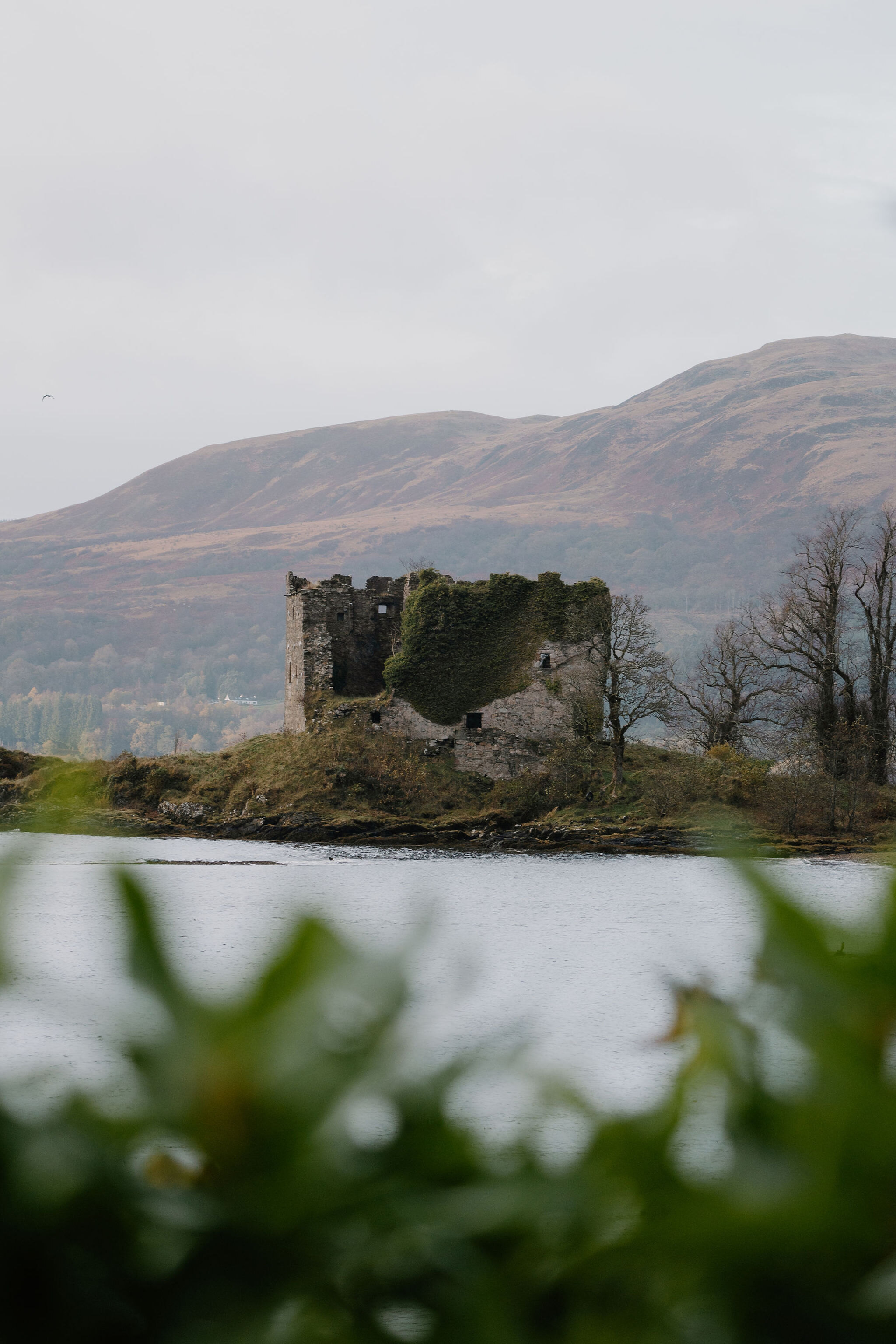 Old Castle Lachlan’s Last Chief