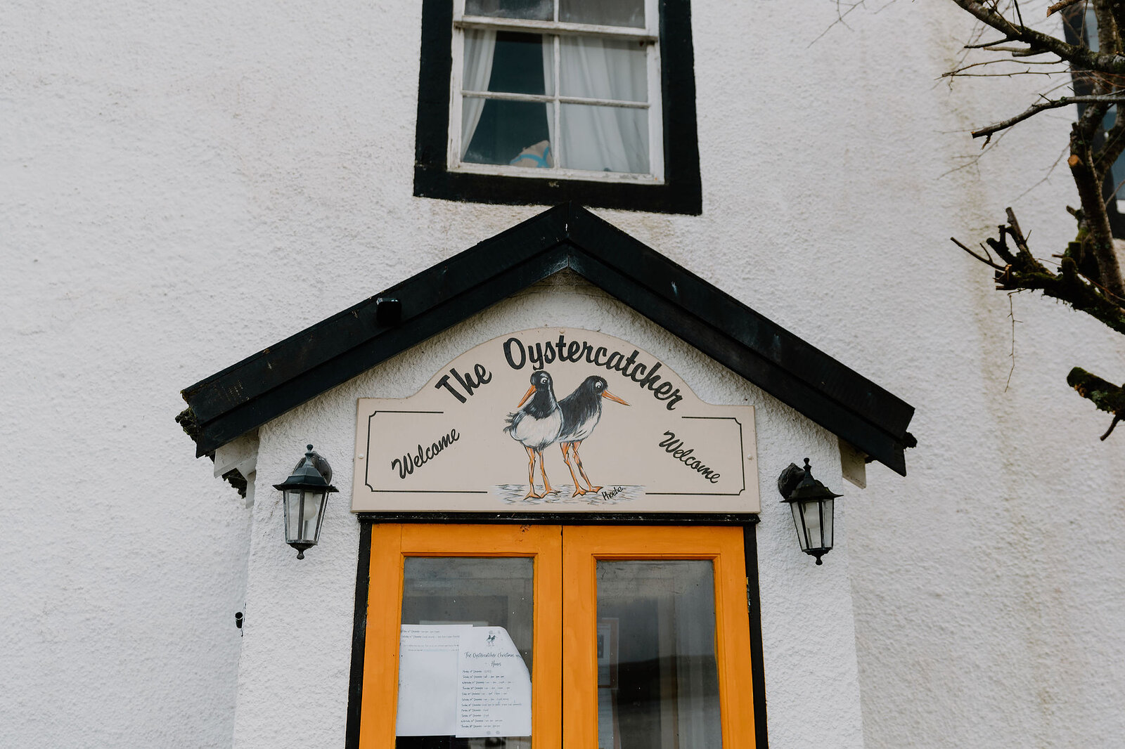 The Oystercatcher