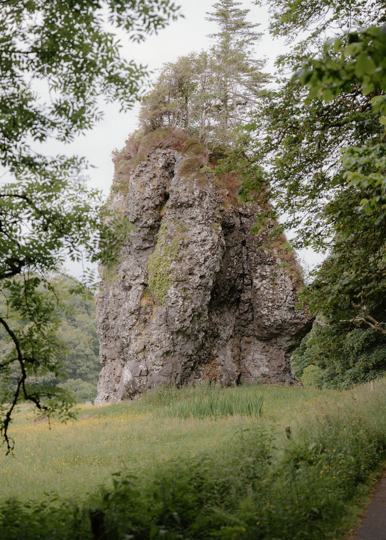 The Dog Stone, a tall pillar of conglomerate rock topped with trees, in a meadow by the shore road.