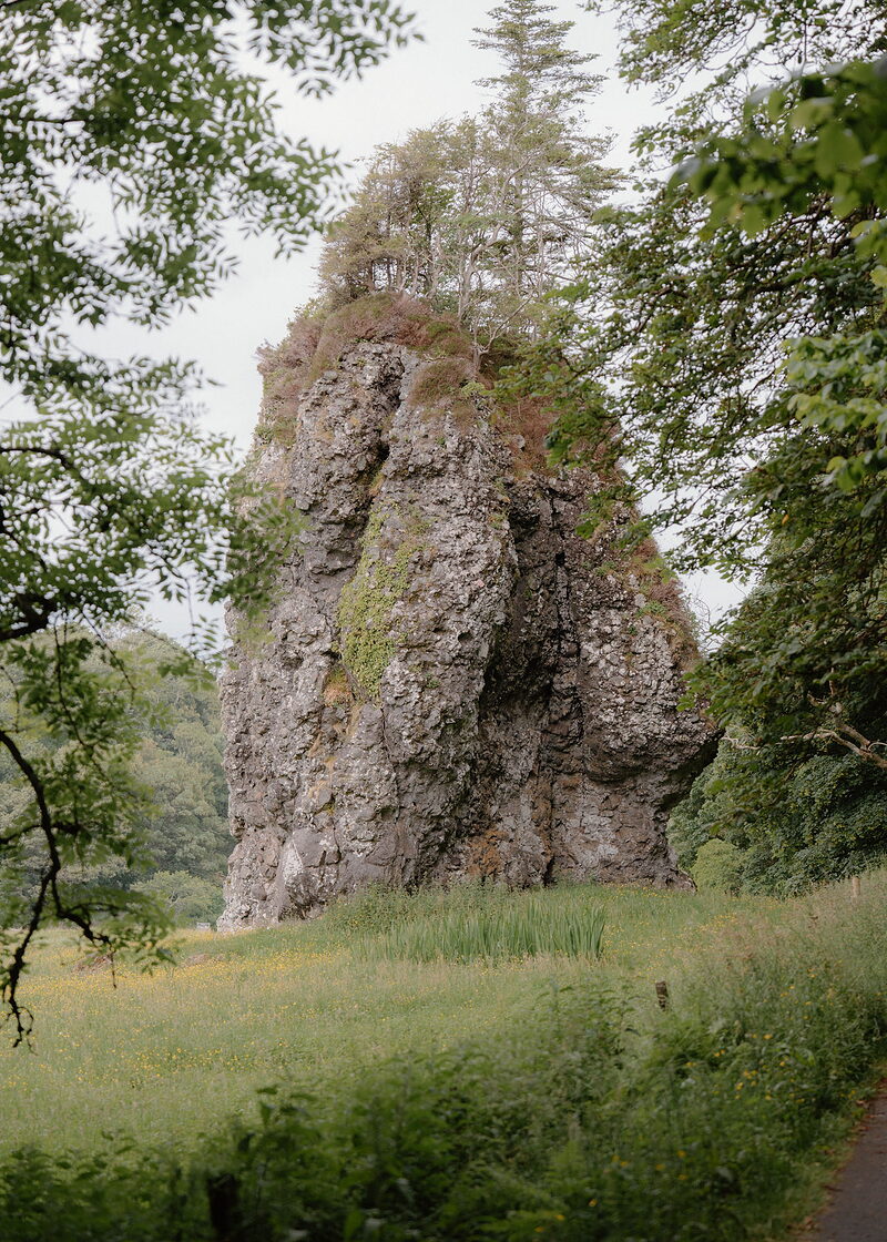The Dog Stone