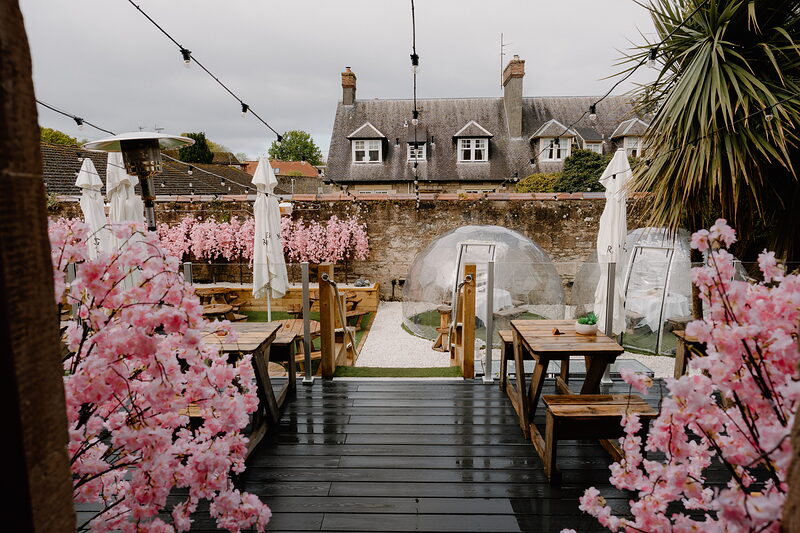 Cherry blossom trees frame a transparent dome pod set on a decked terrace, festoon lights strung above wooden tables and umbrellas.
