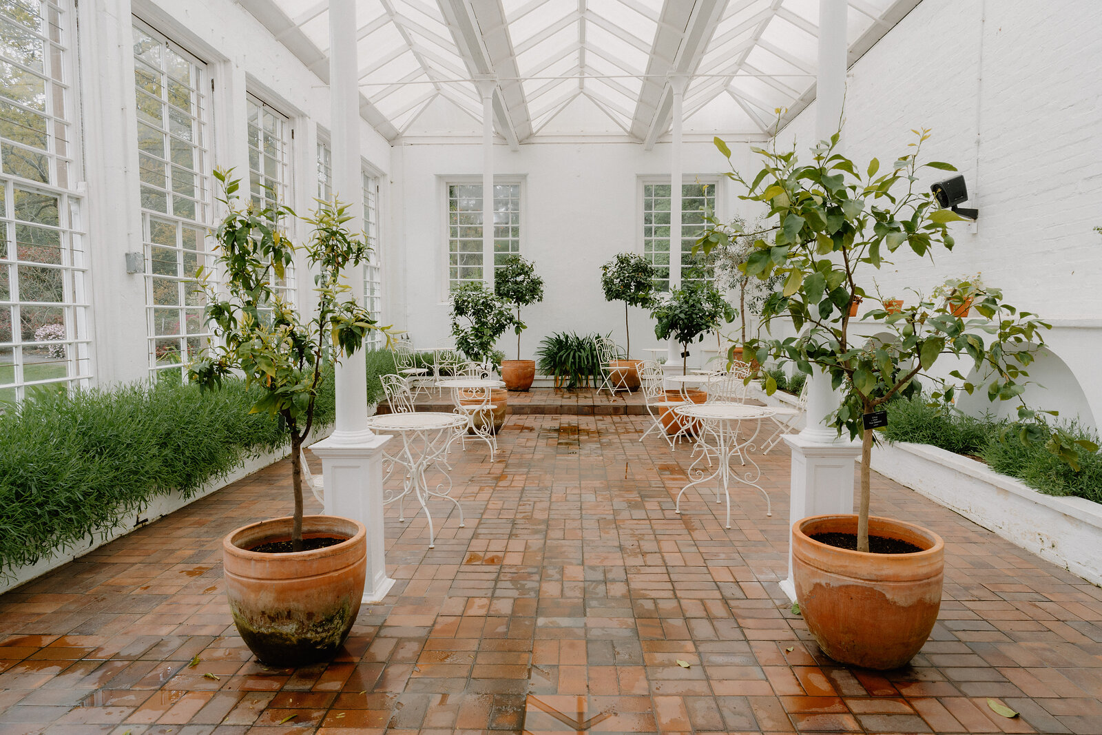 Potted citrus trees stand either side of a terracotta-tiled walkway through a glazed orangery, wrought-iron chairs and tables set beneath the glass roof.