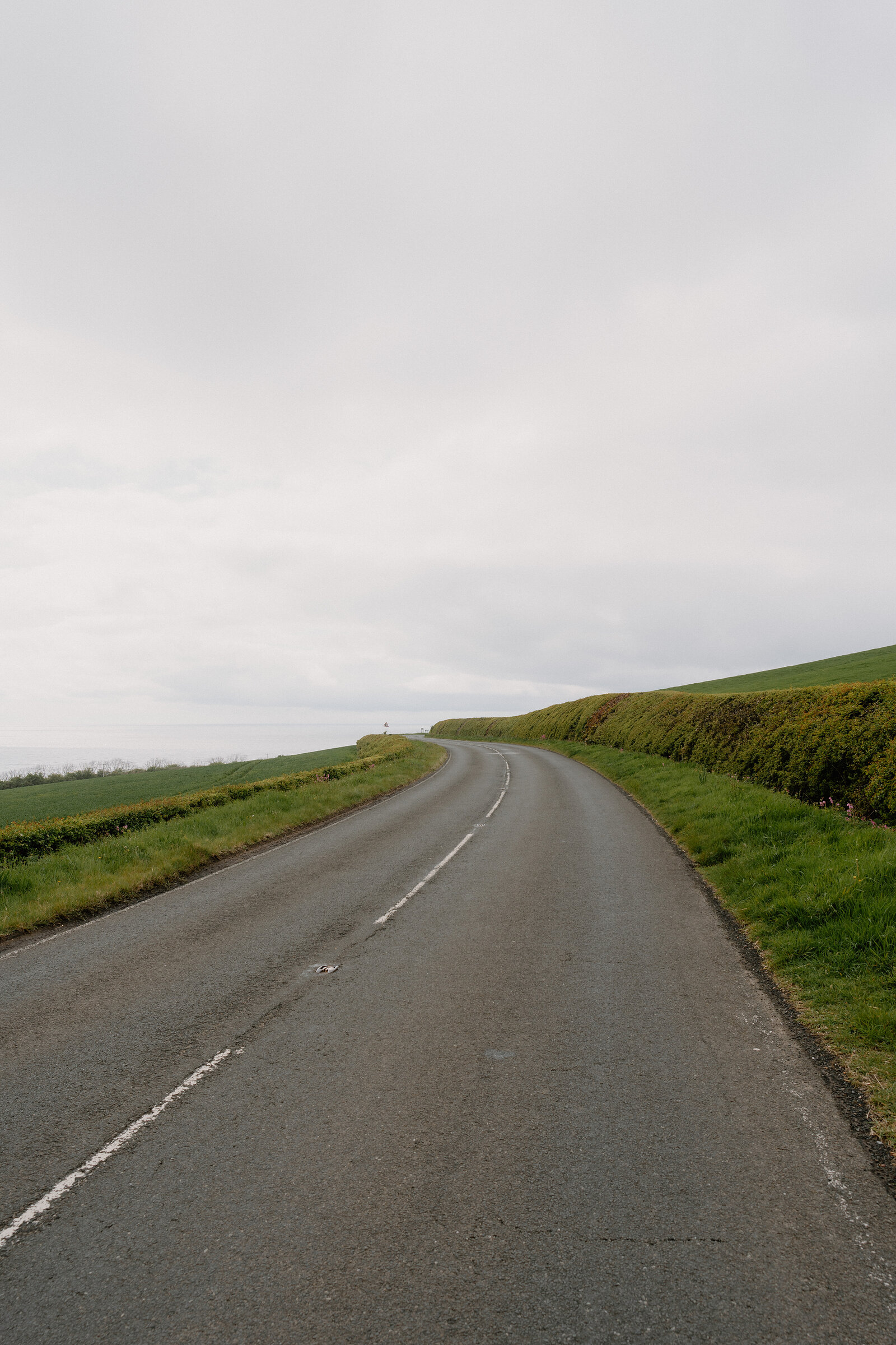 A country road curves between hedgerows along a coastal hillside under an overcast sky.