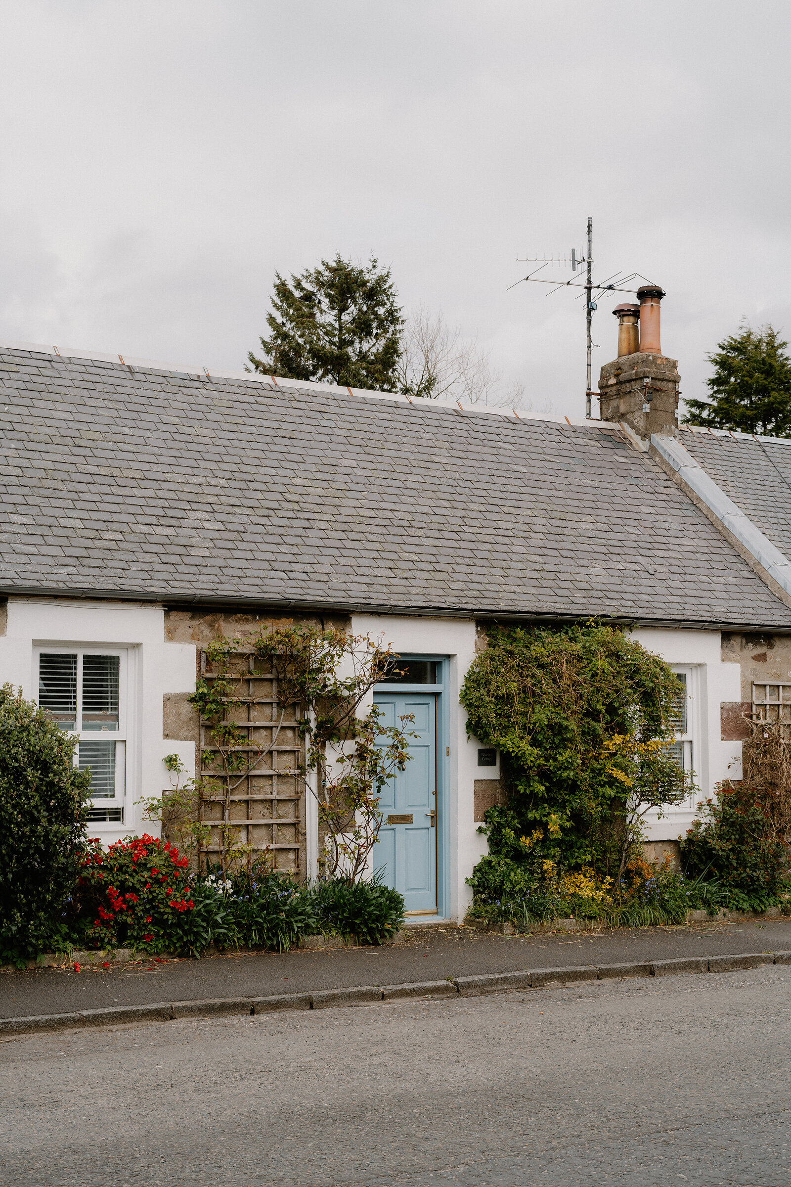 A whitewashed cottage with a pale blue door is framed by climbing roses and a wooden trellis, a TV aerial standing on the chimney above.