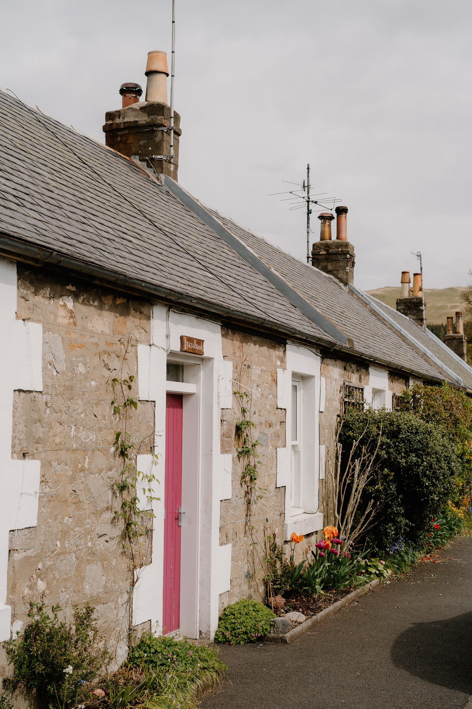 A whitewashed cottage with a pink door and climbing plants stands beside a row of matching cottages, chimney pots lining the roofline.
