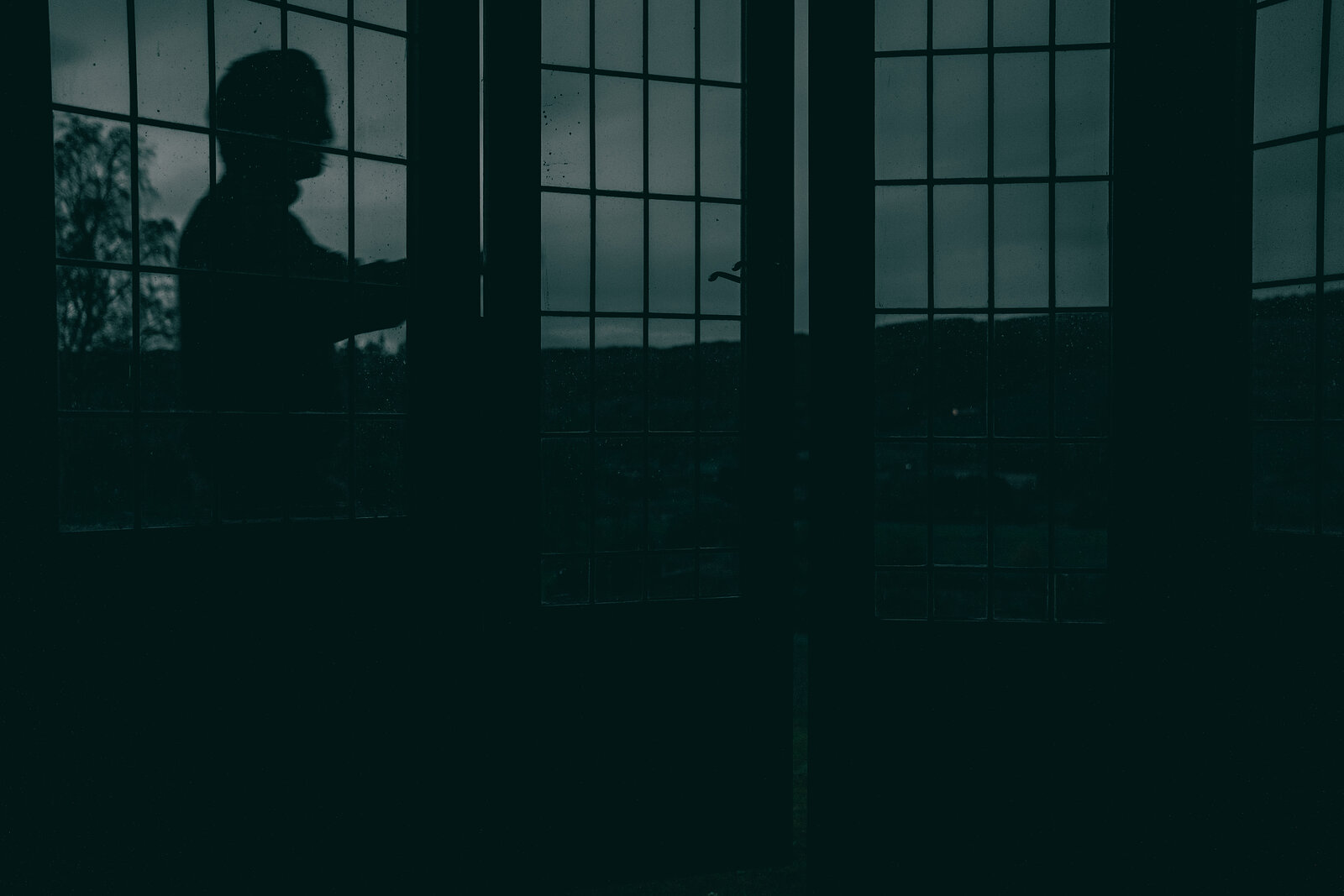 A person in silhouette stands at a large gridded window in a dark room, with trees and low hills outside under a grey sky.