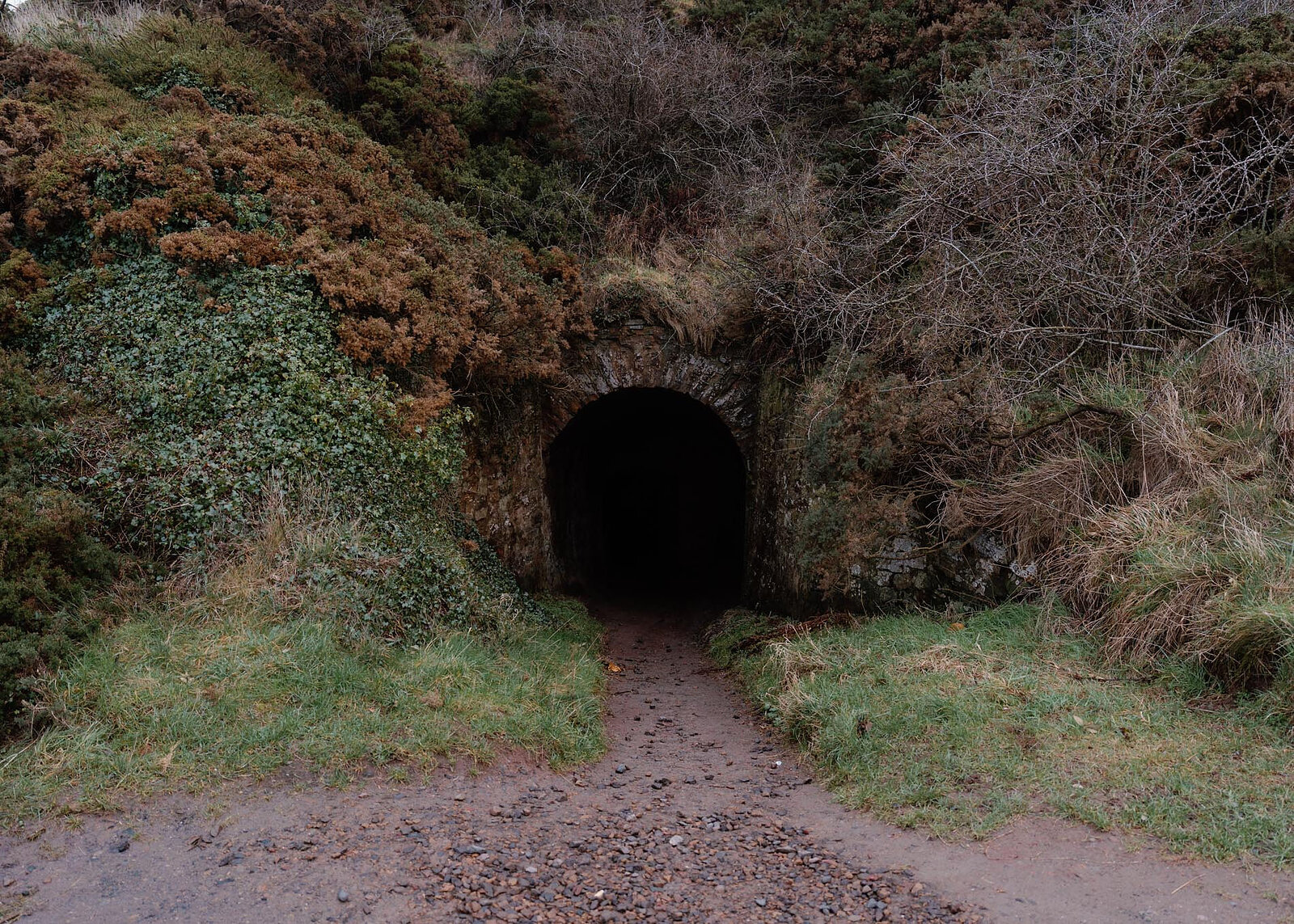 A landscape view of the stone-arched tunnel mouth in the overgrown brae, the path running into it.