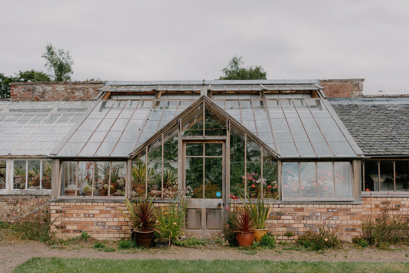 A Victorian glasshouse with a pointed gable stands on a brick base, potted plants set either side of its central door.