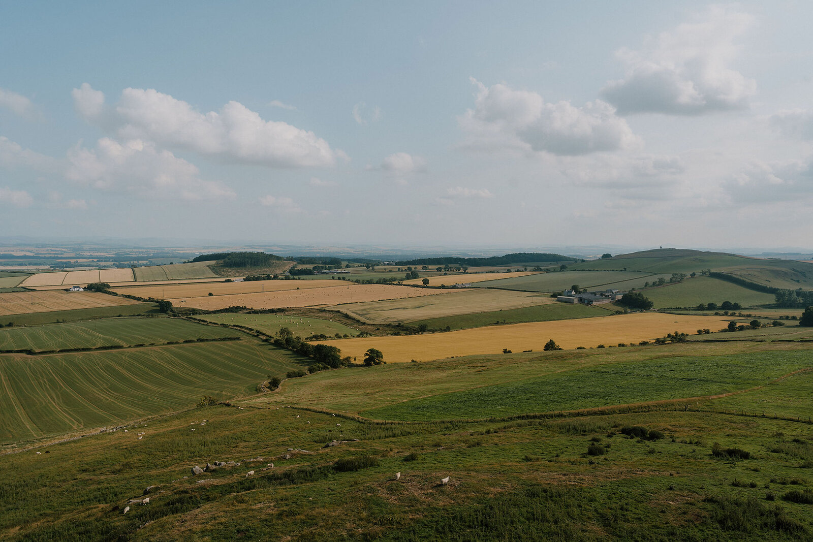 An aerial view shows a patchwork of green and golden fields stretching towards distant hills, sheep grazing on a grassy slope in the foreground.