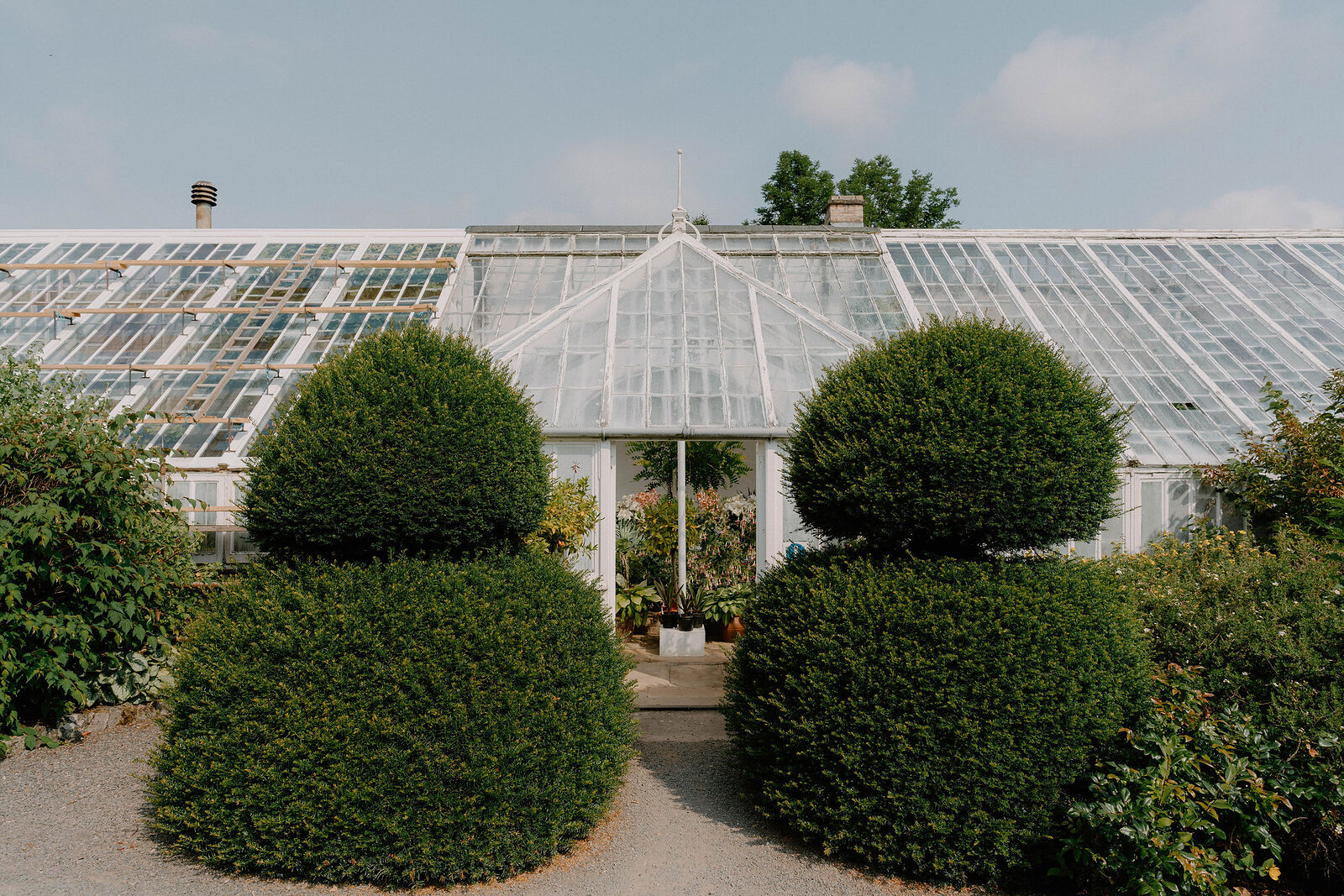 A gravel path flanked by two rounded box hedges leads to the glazed entrance of a large Victorian glasshouse.