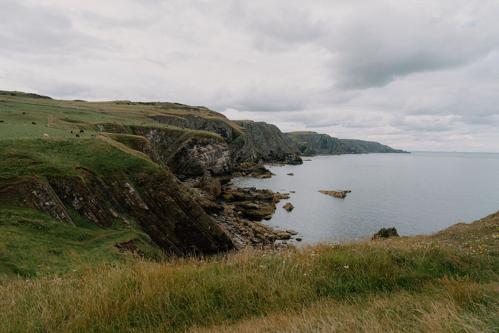 Grassy cliffs curve along a rocky coastline above a calm sea, sheep grazing on the slopes.